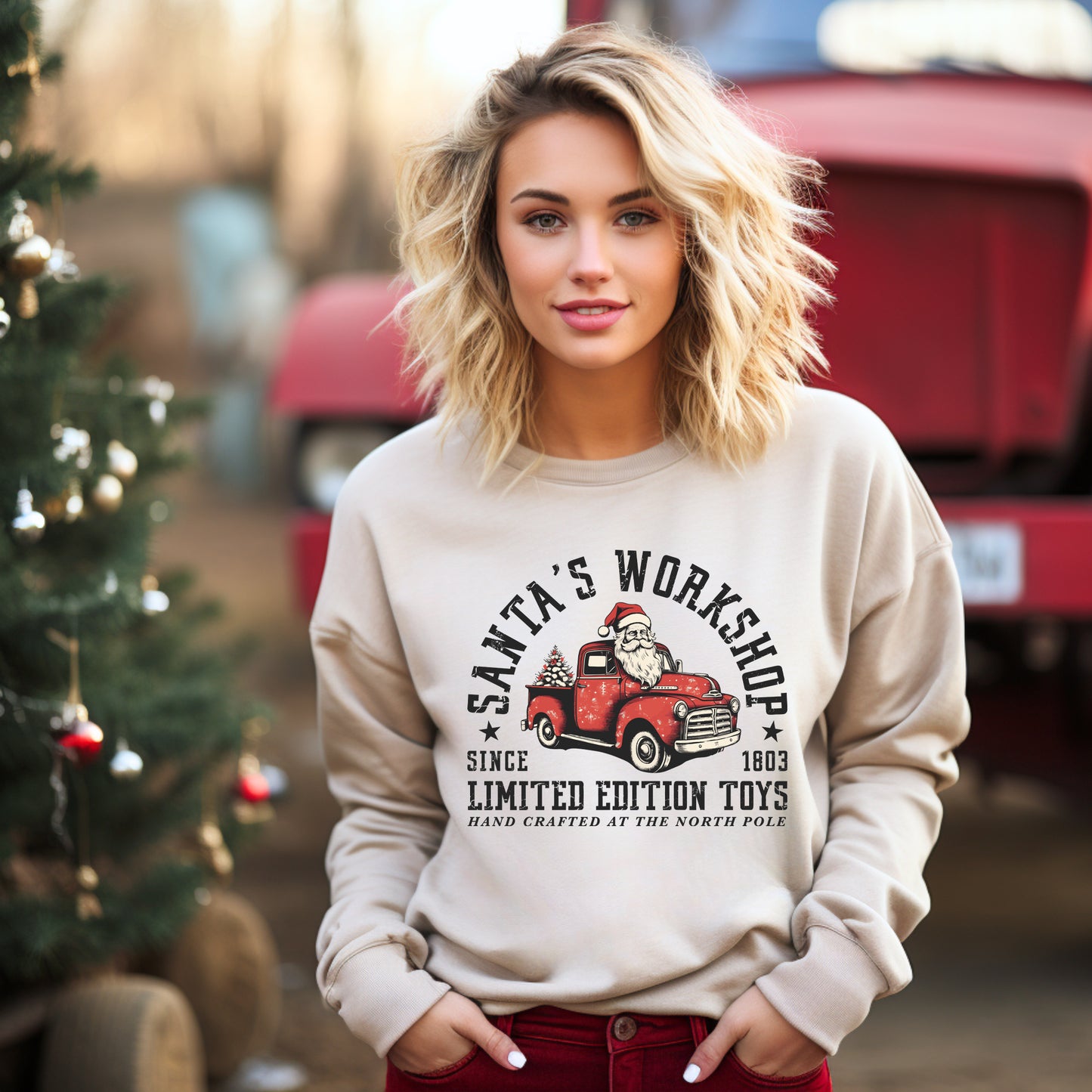 Limited Edition Toys | Sweatshirt