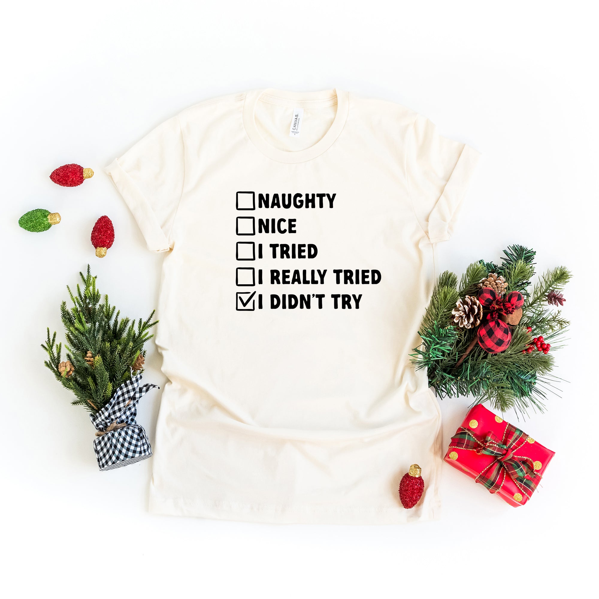 I Didn't Try Nice List | Short Sleeve Graphic Tee