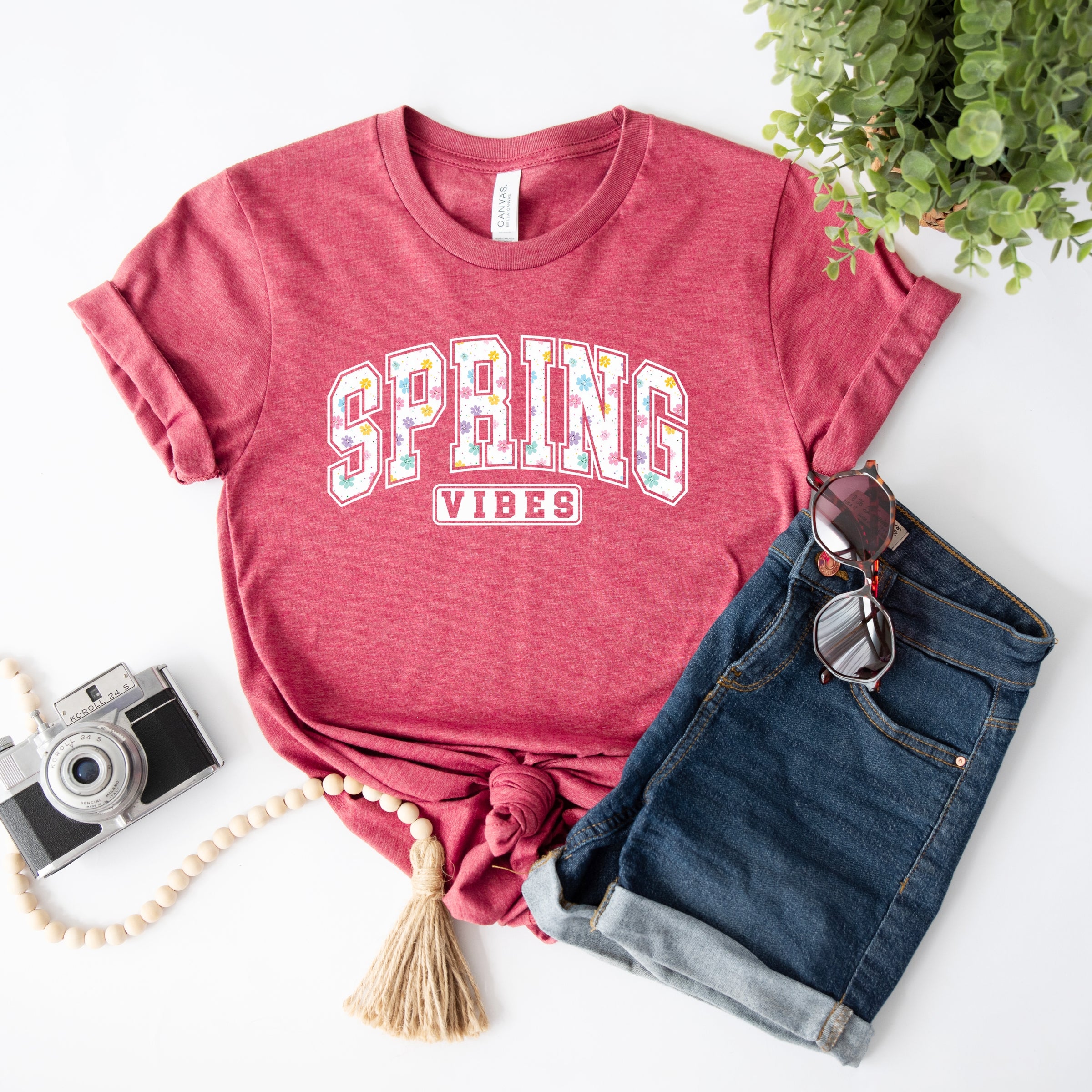 13129M_F-C Raspberry