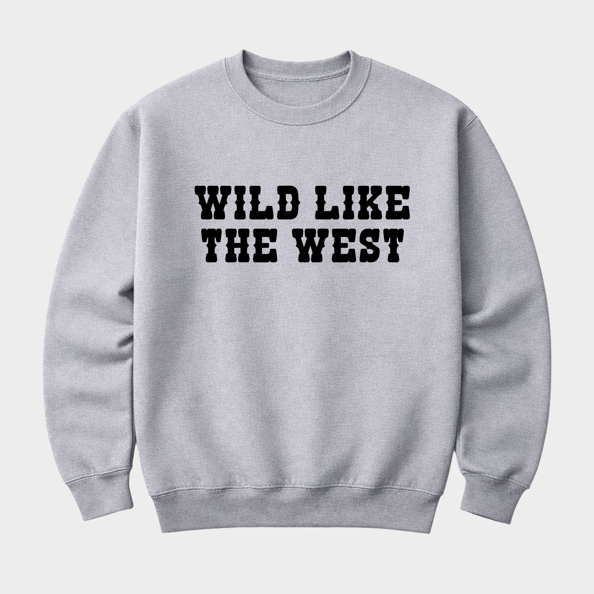 14239B_F-SWT Graphite