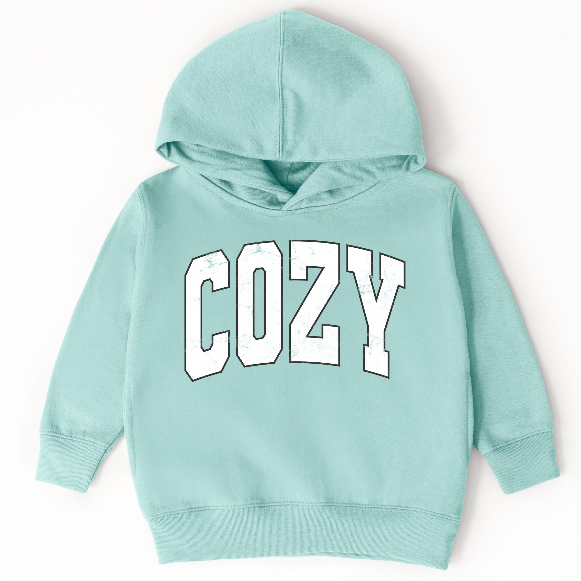 Cozy Worn Varsity - Toddler Hoodie