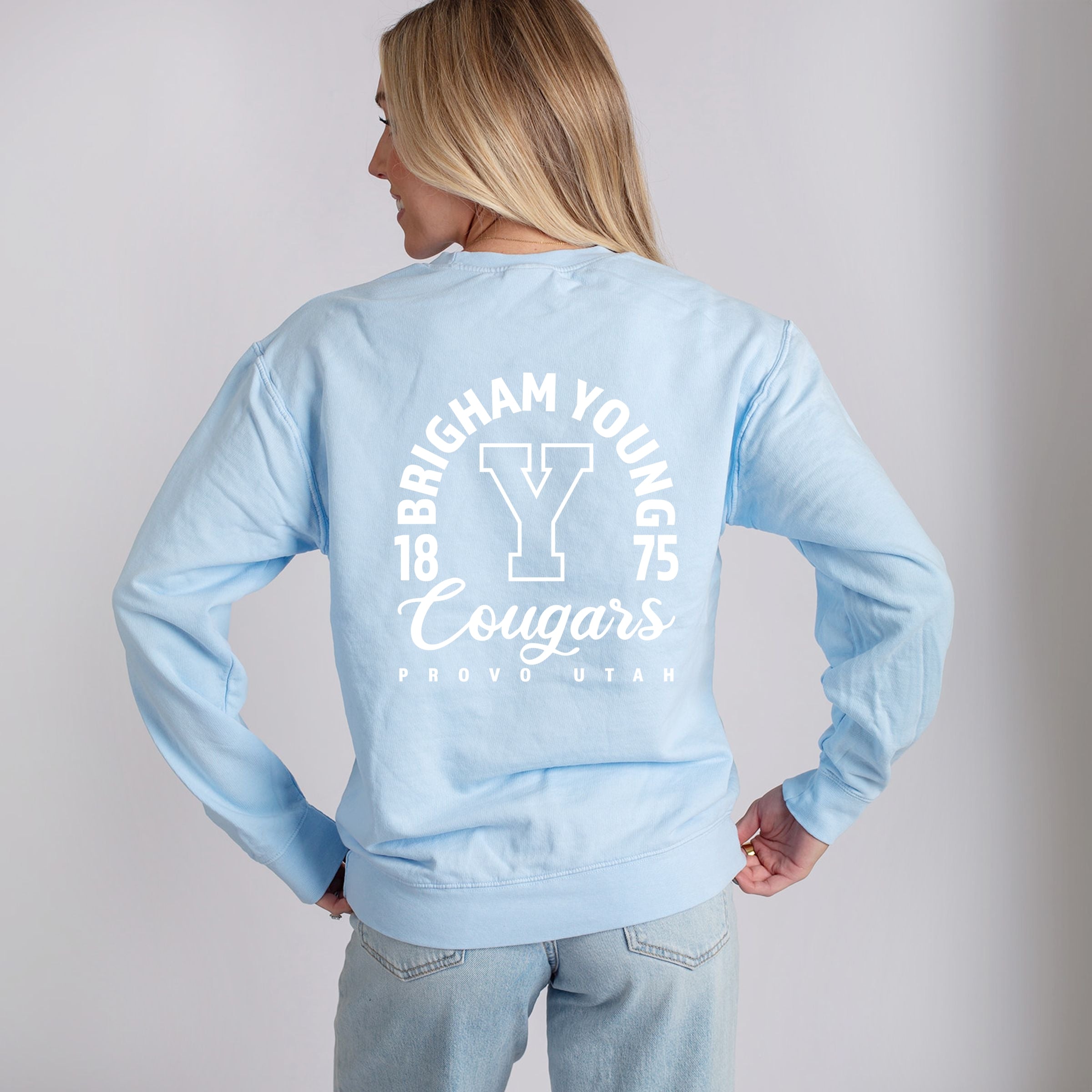 22713W_LC_22714W_B-LGDSWT Hydrangea