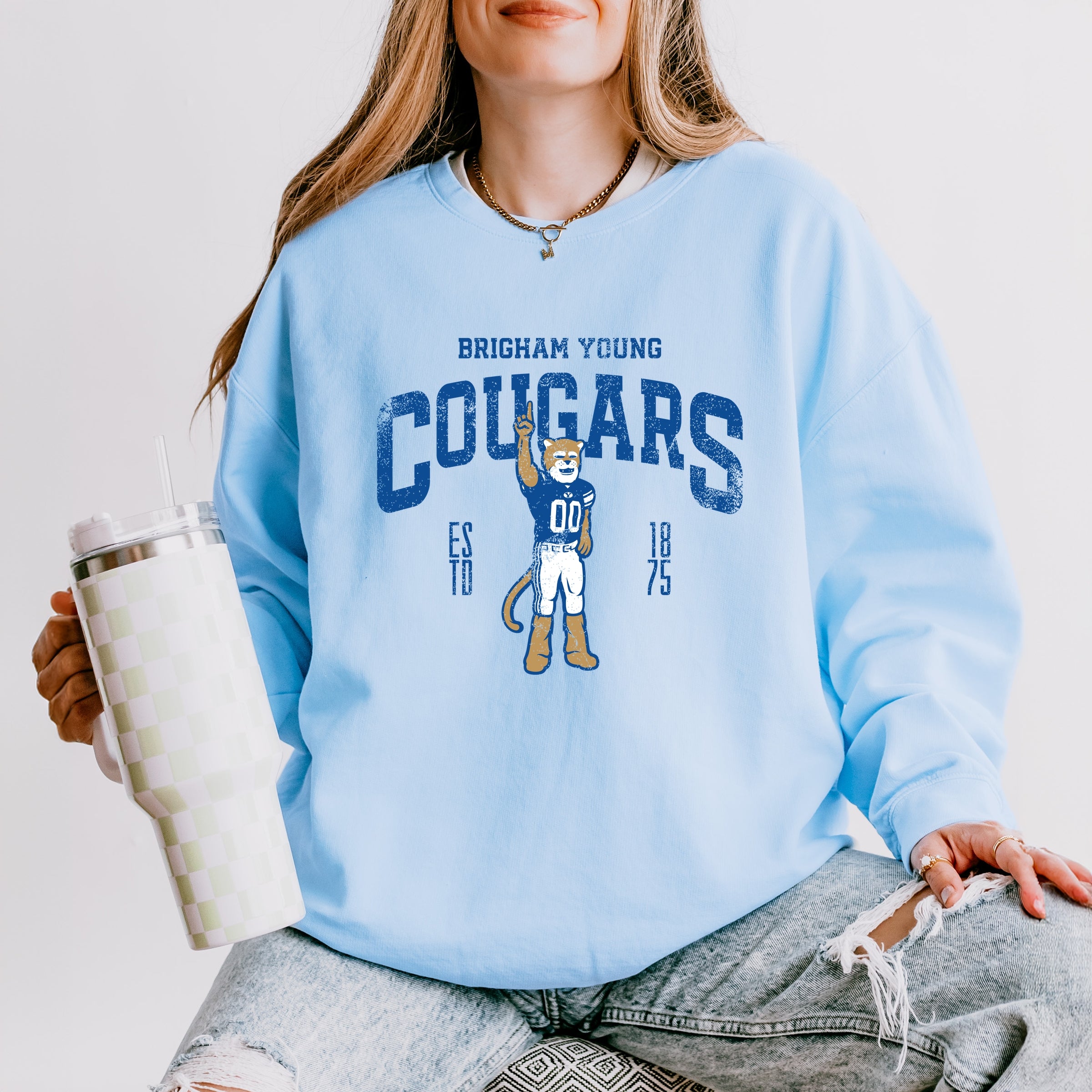 22726M_F-LGDSWT Hydrangea