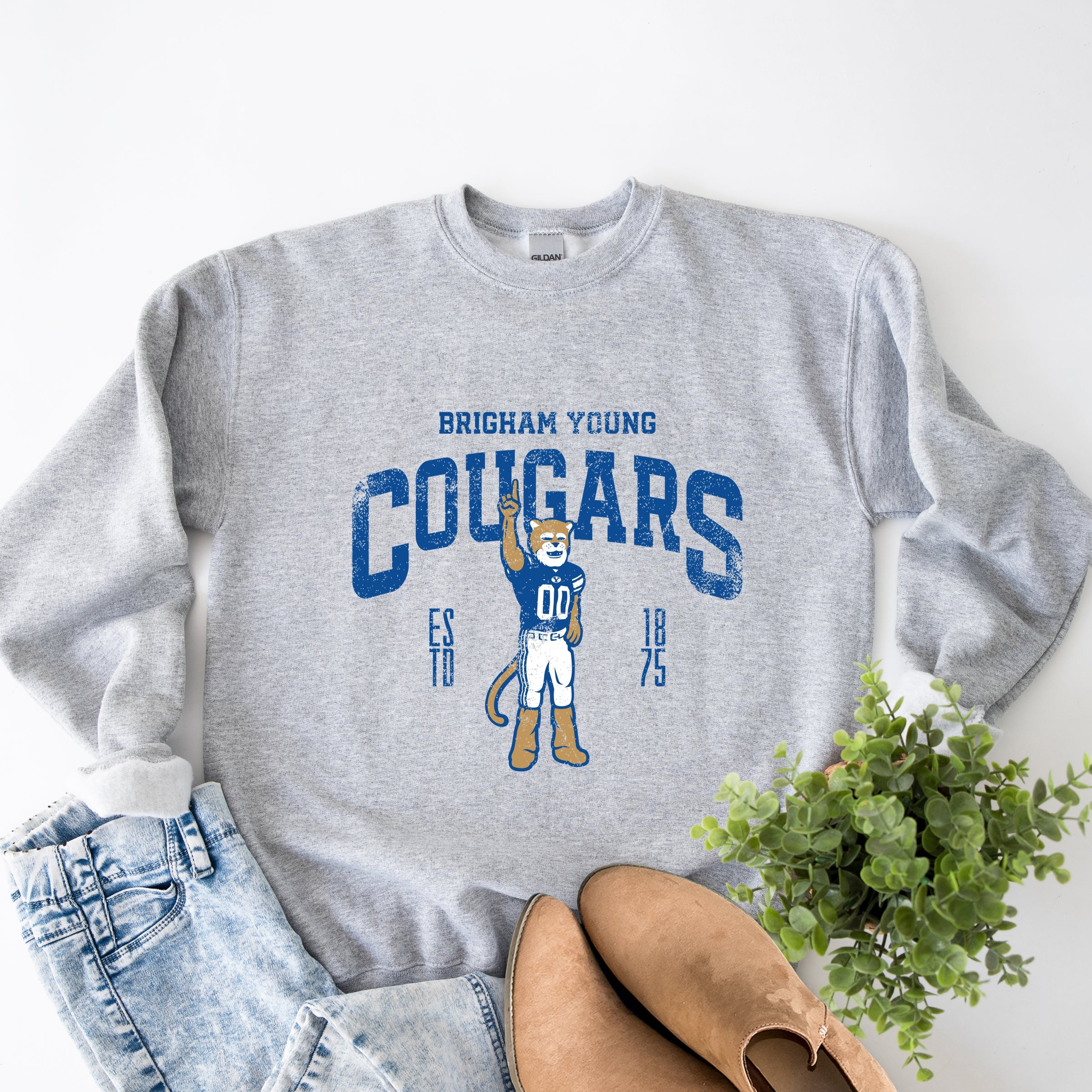 22726M_F-SWT Graphite