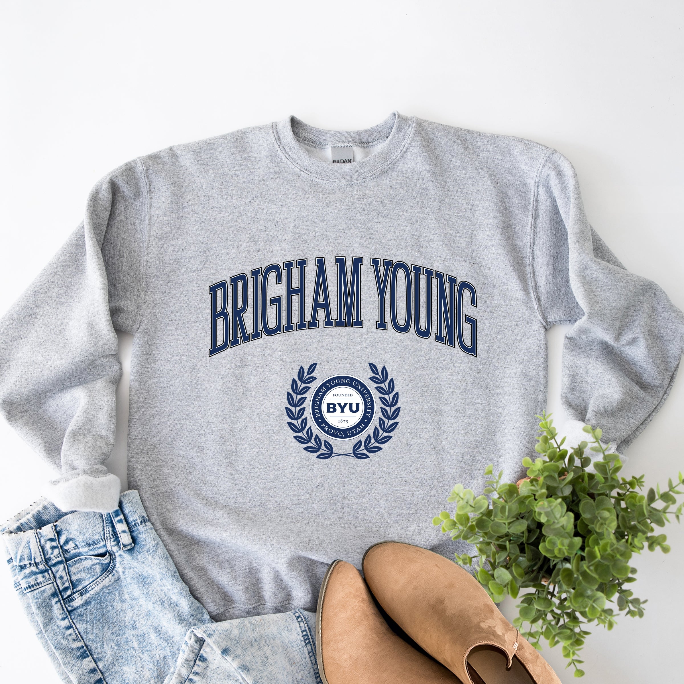 22733M_F-SWT Graphite