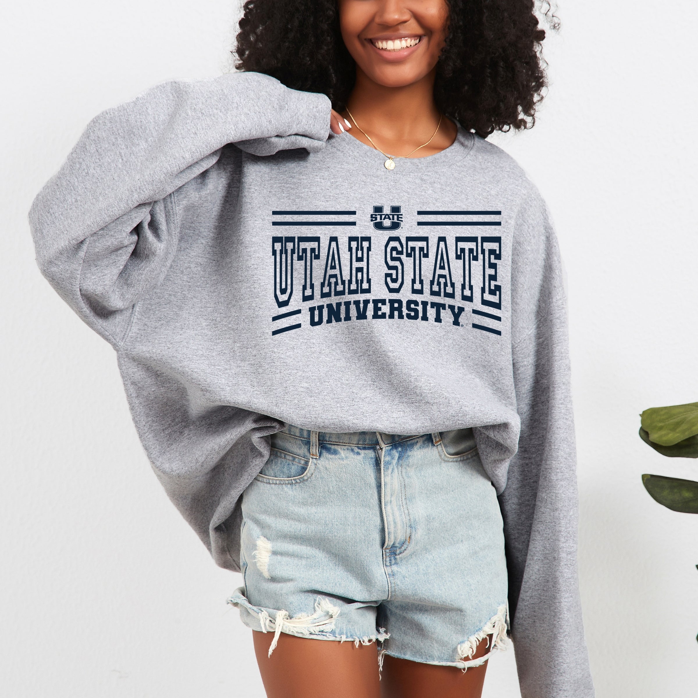 23006BLU_F-SWT Graphite