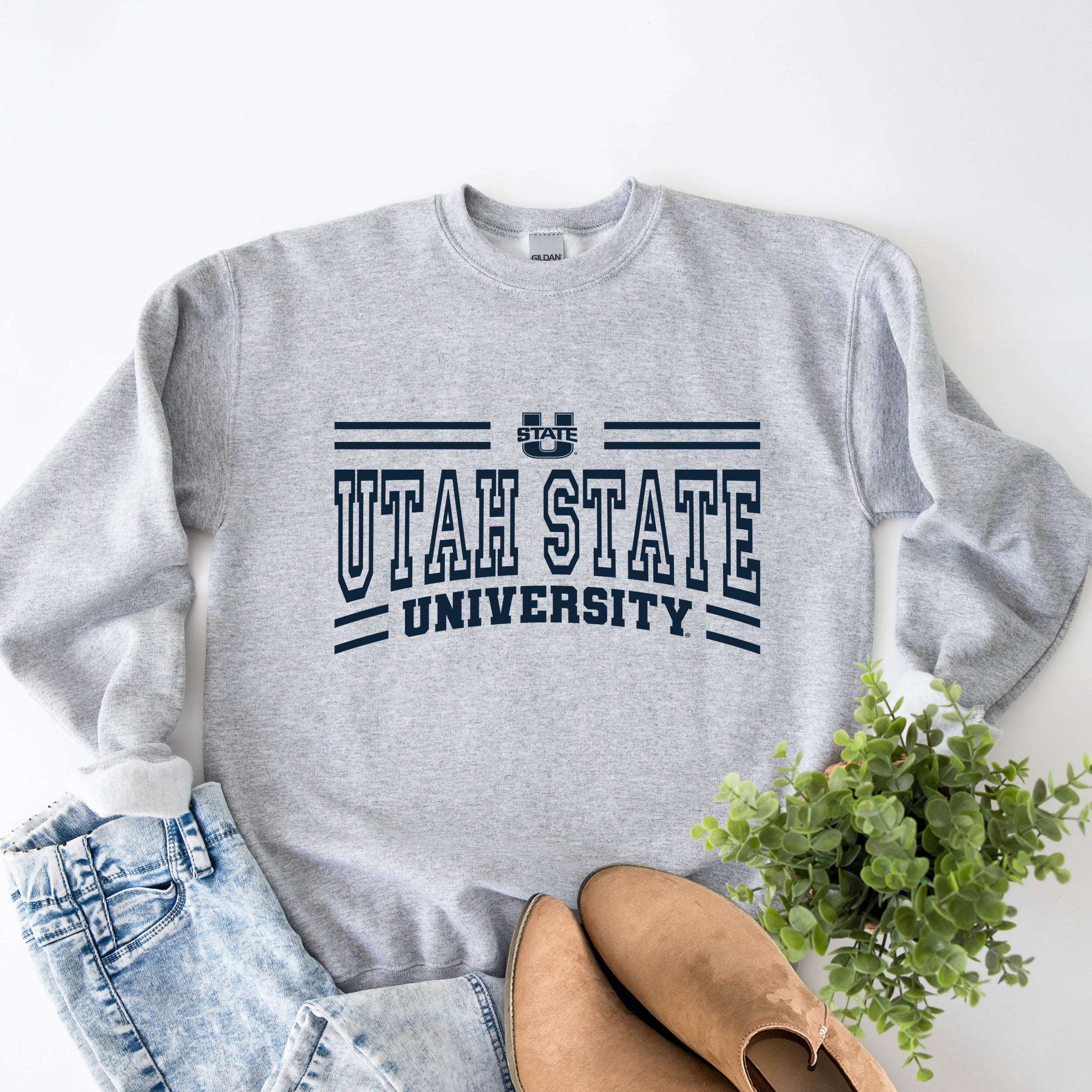 23006BLU_F-SWT Graphite