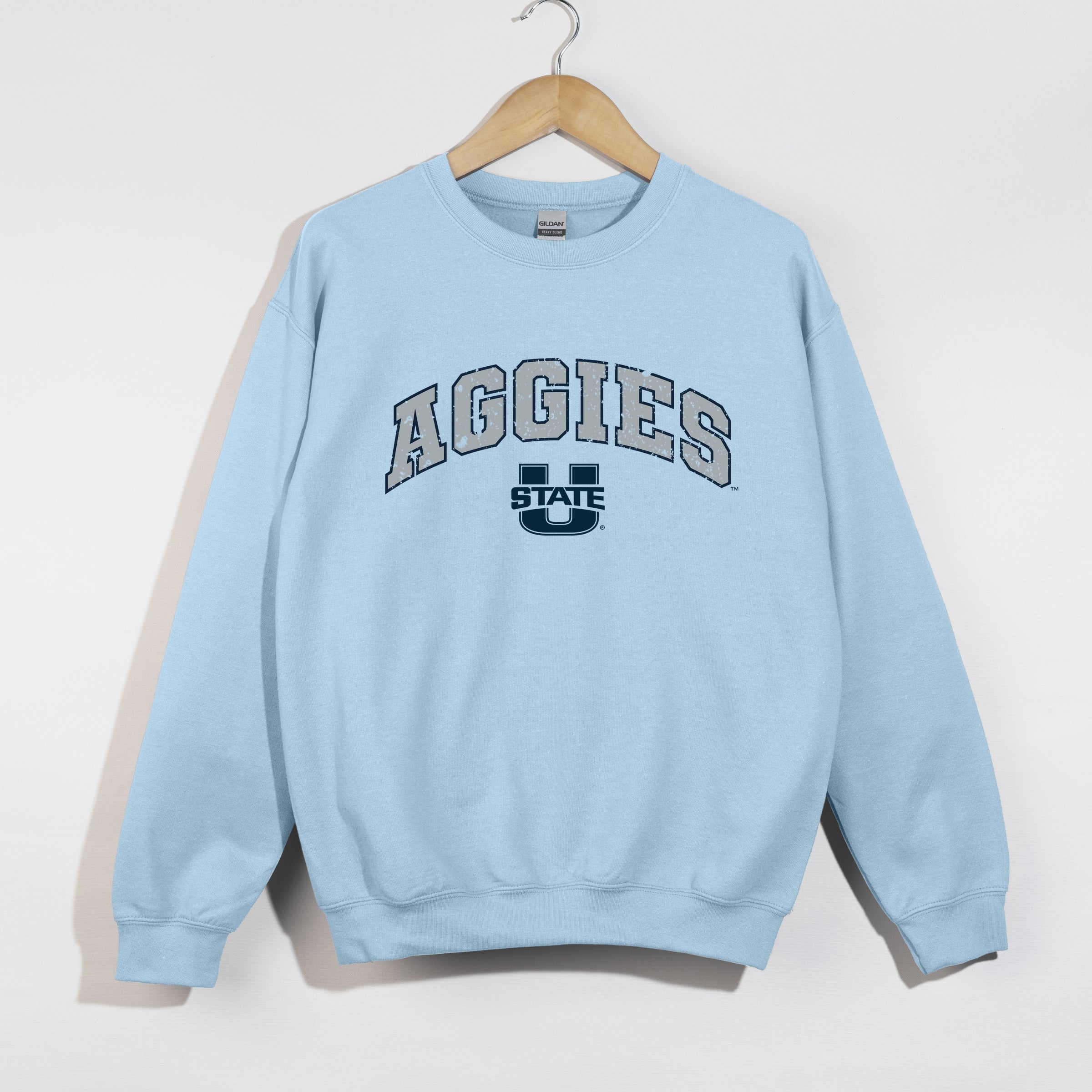 23009M_F-SWT Light Blue