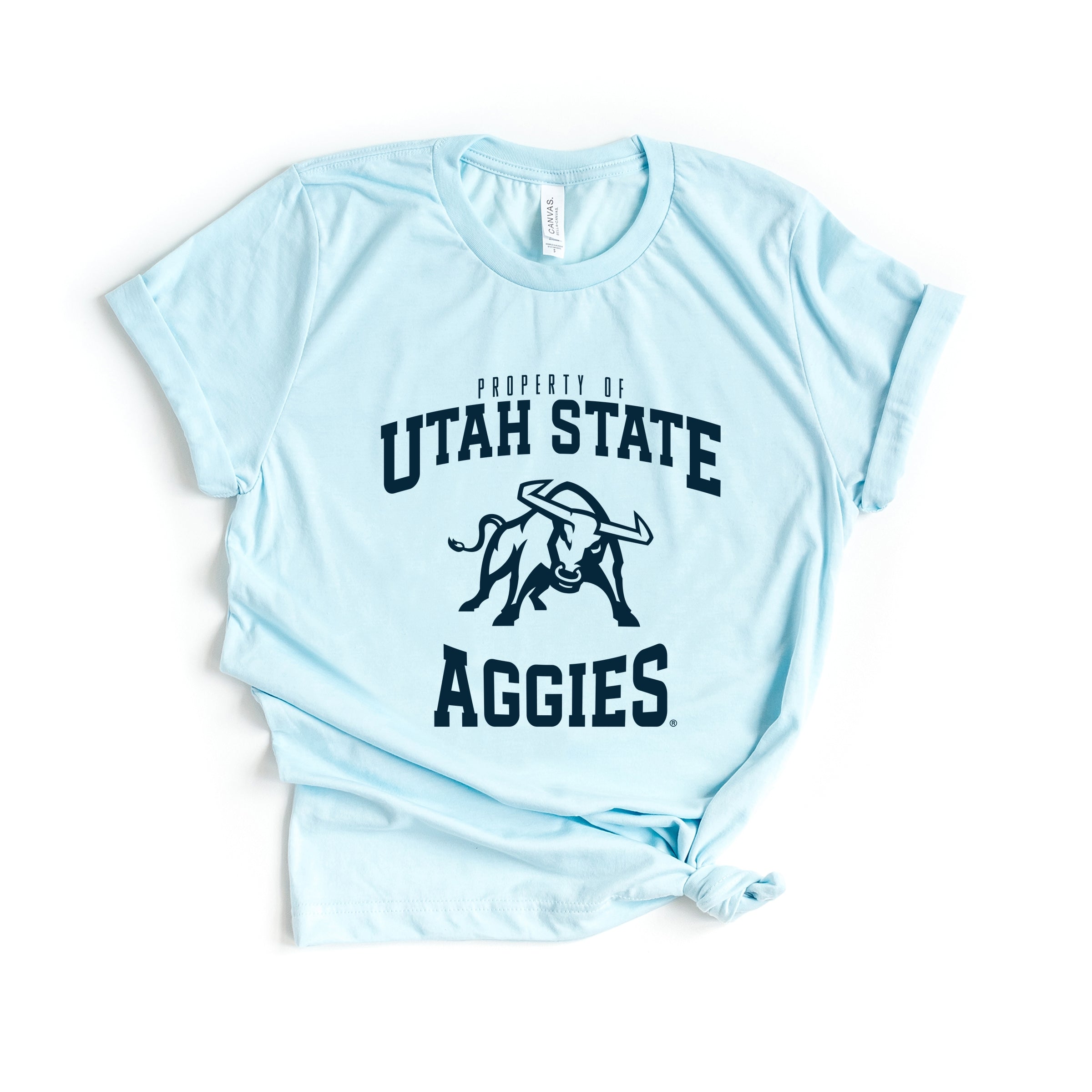 23017BLU_F-C Ice Blue