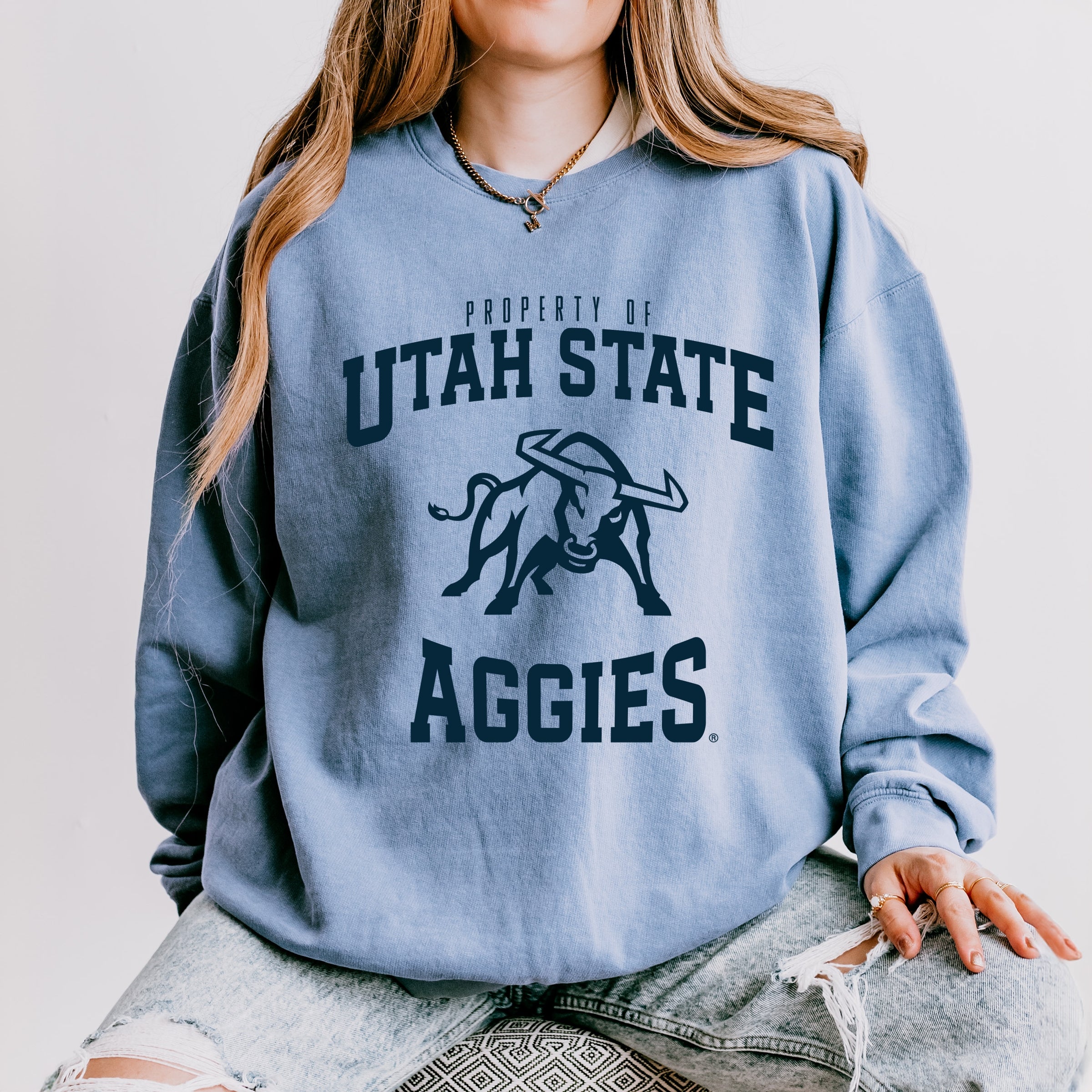 23017BLU_F-LGDSWT Blue Jean