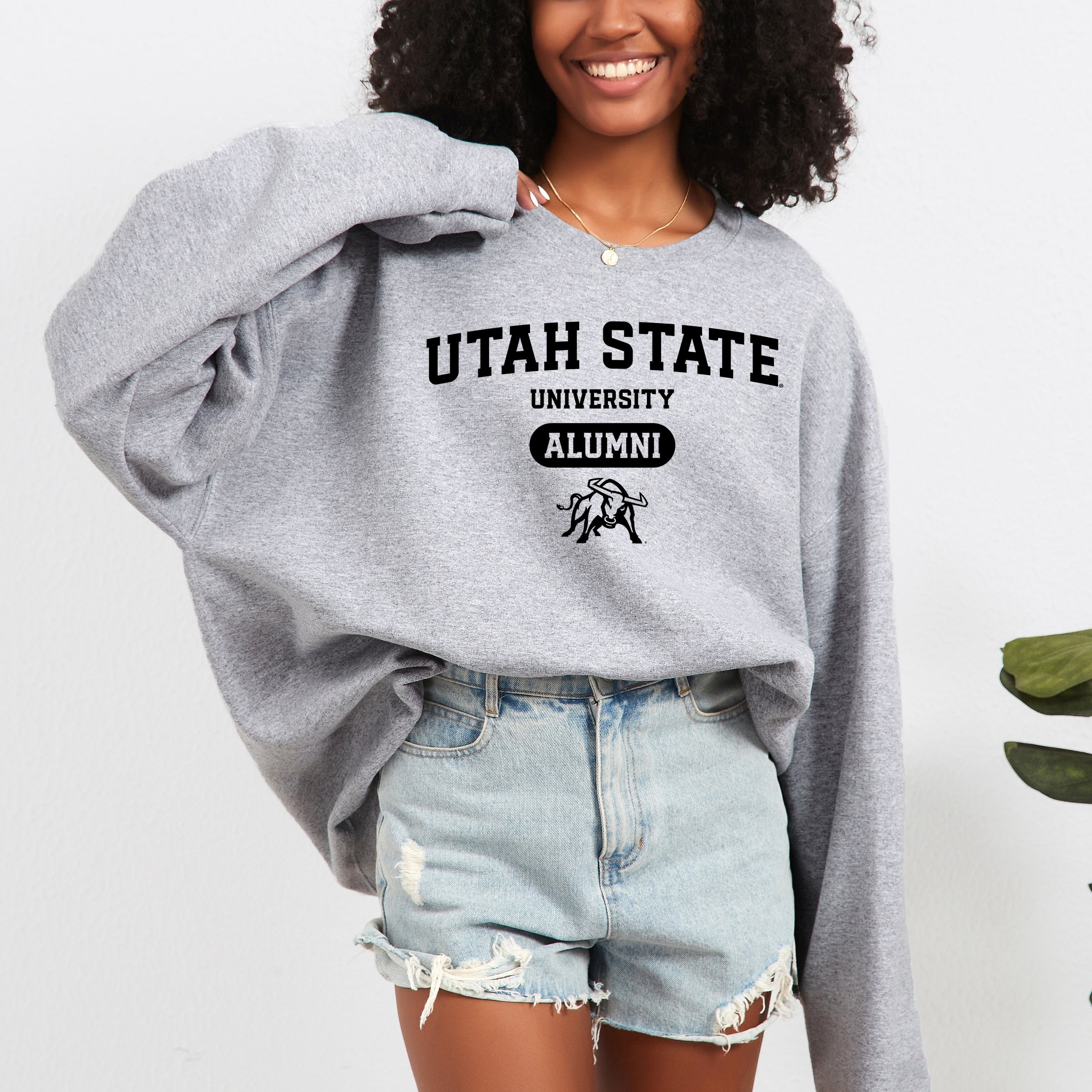 23019B_F-SWT Graphite