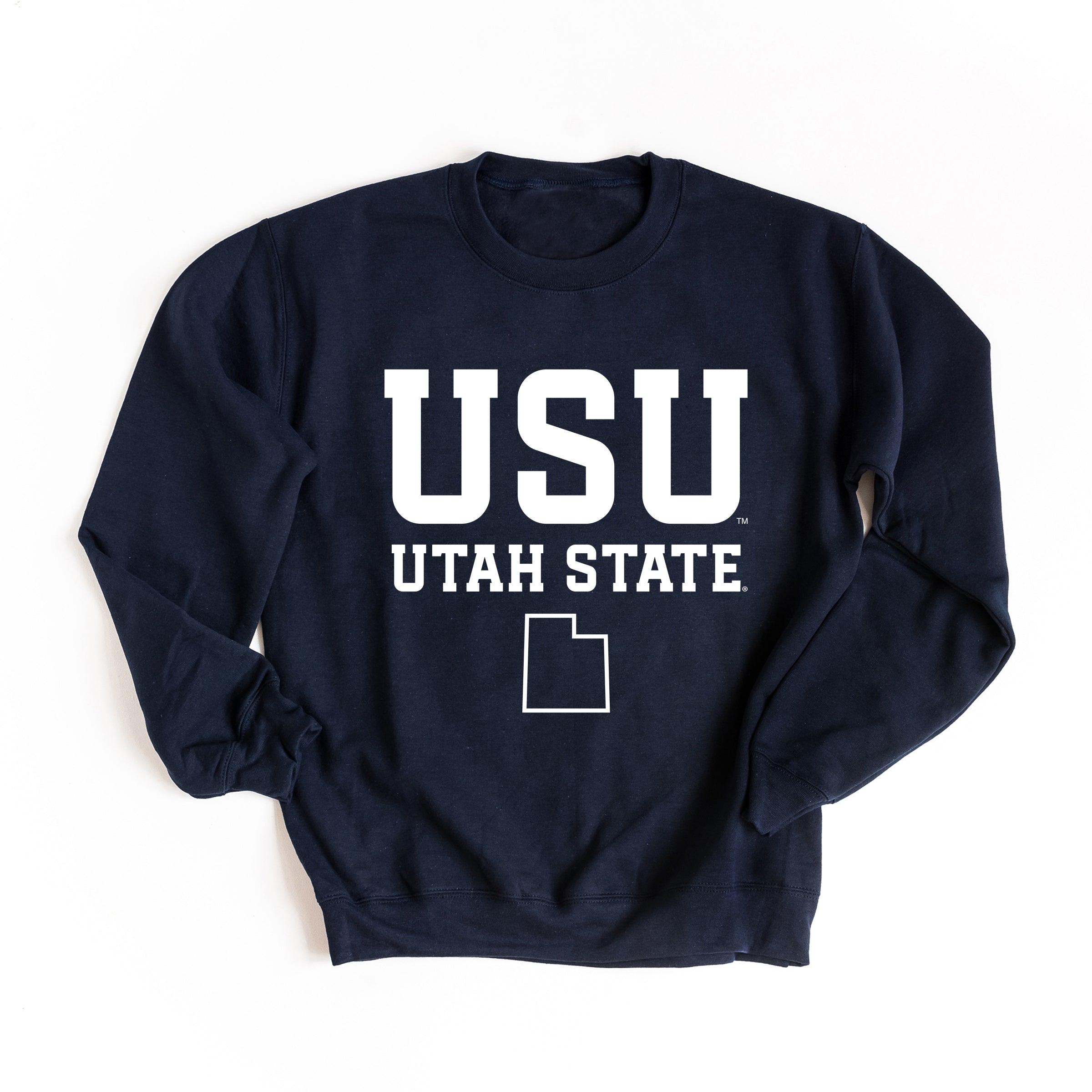 23021W_F-SWT True Navy