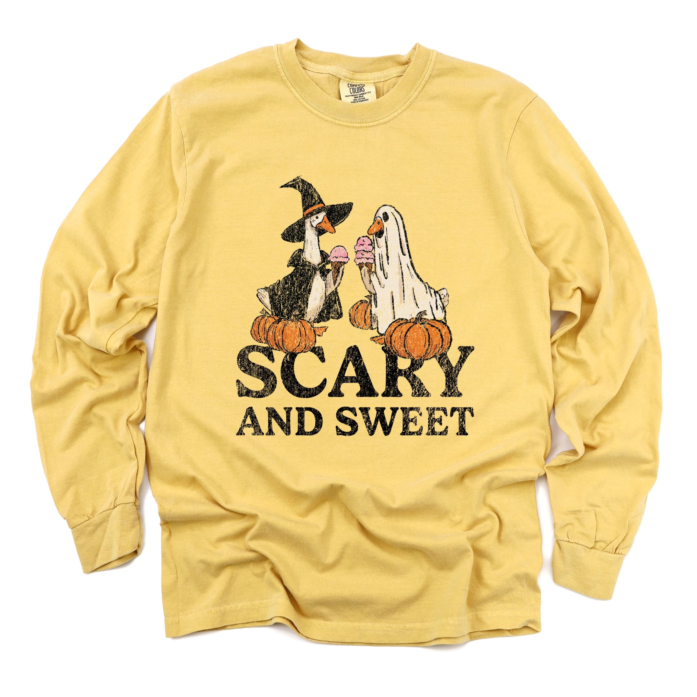 Scary and Sweet Geese - Women's Garment Dyed Long Sleeve Graphic T-Shirt