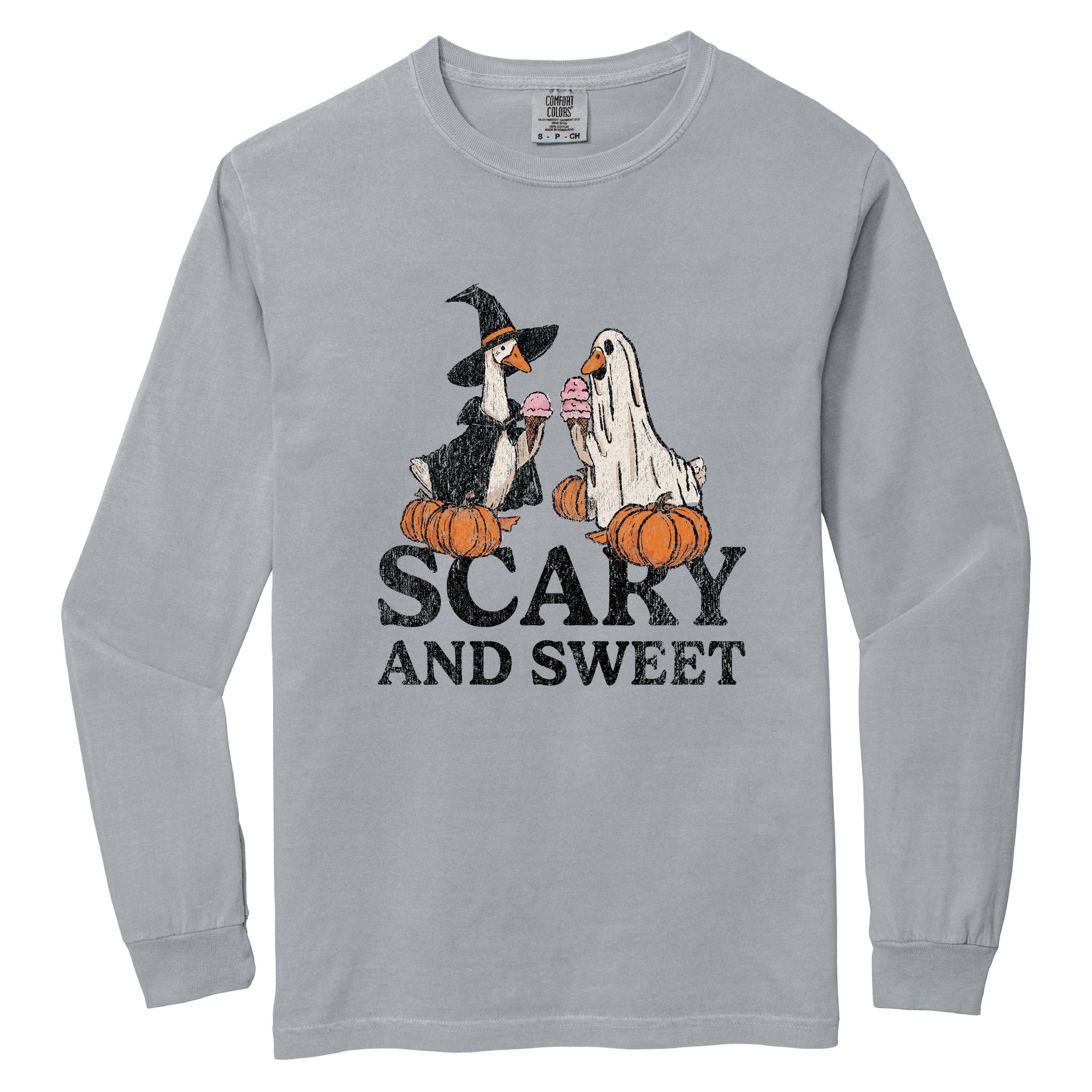 Scary and Sweet Geese - Women's Garment Dyed Long Sleeve Graphic T-Shirt