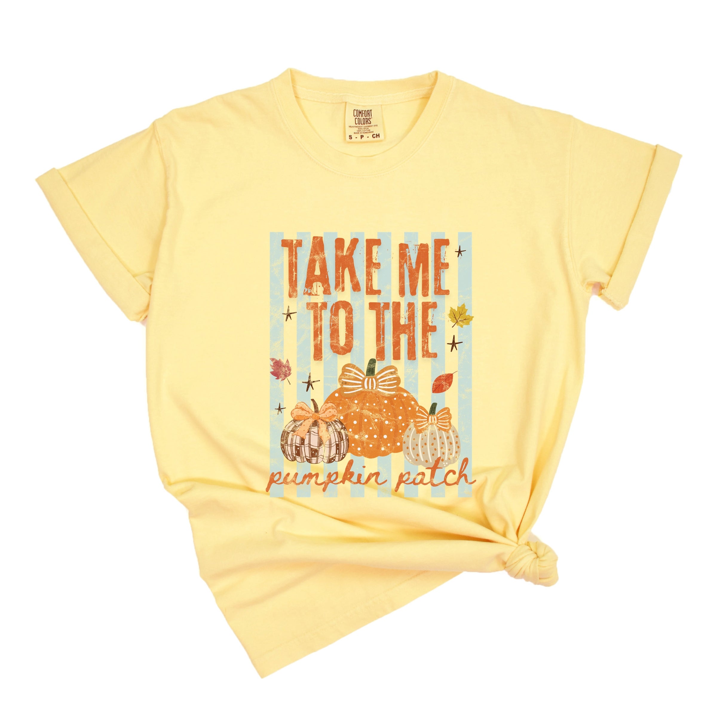 Take Me to the Pumpkin Patch Stripes - Women's Garment Dyed Graphic T-Shirt