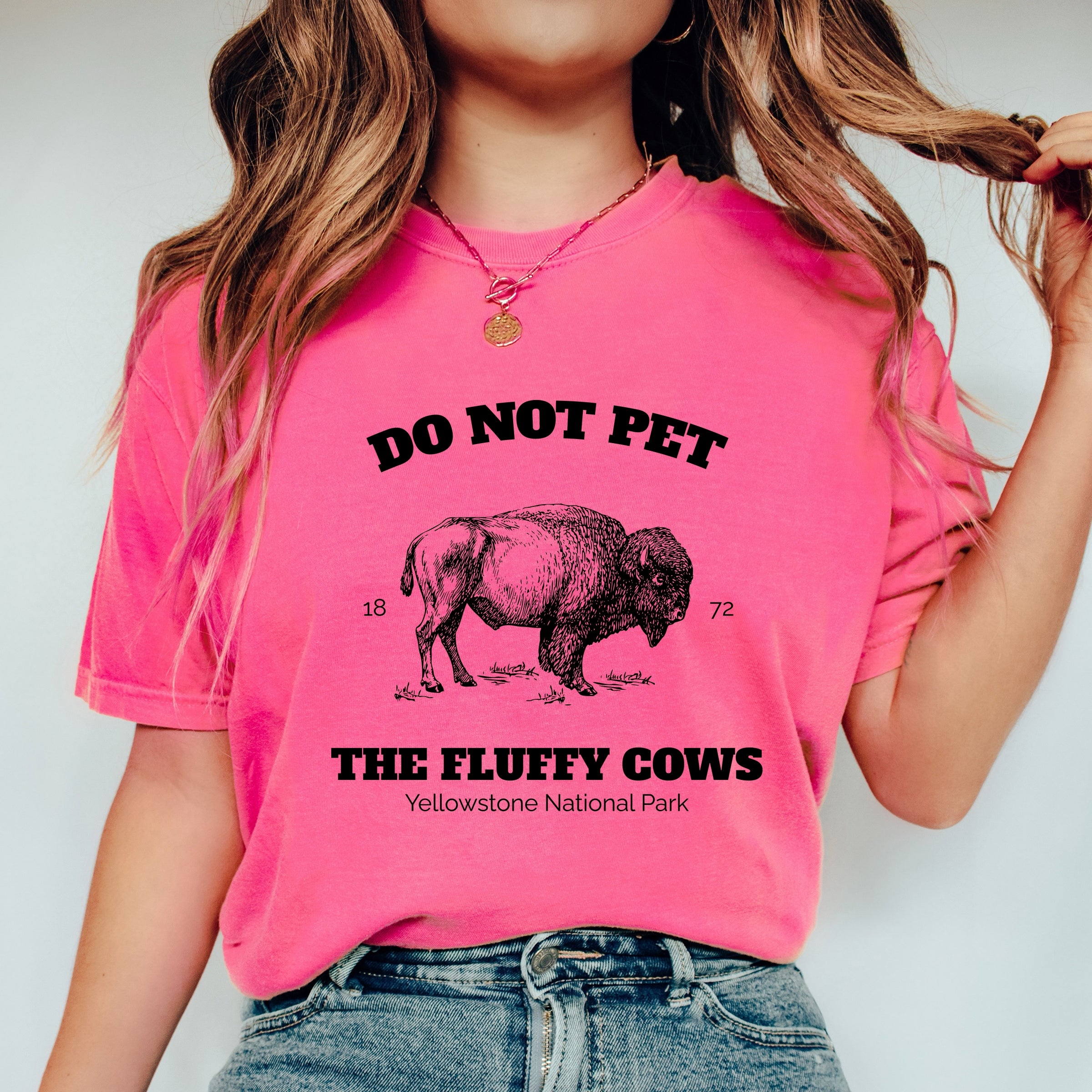 8170B_F-GDT Crunchberry