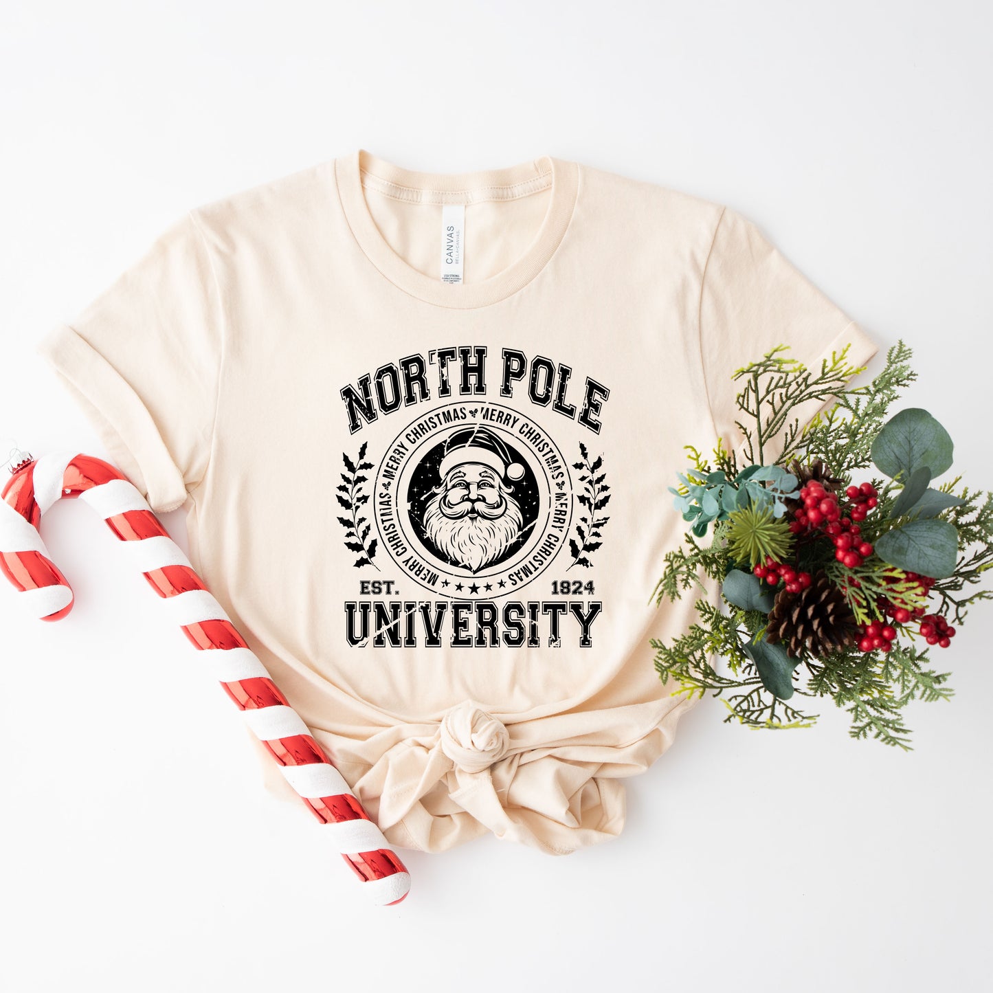 North Pole University Distressed | Short Sleeve Crew Neck