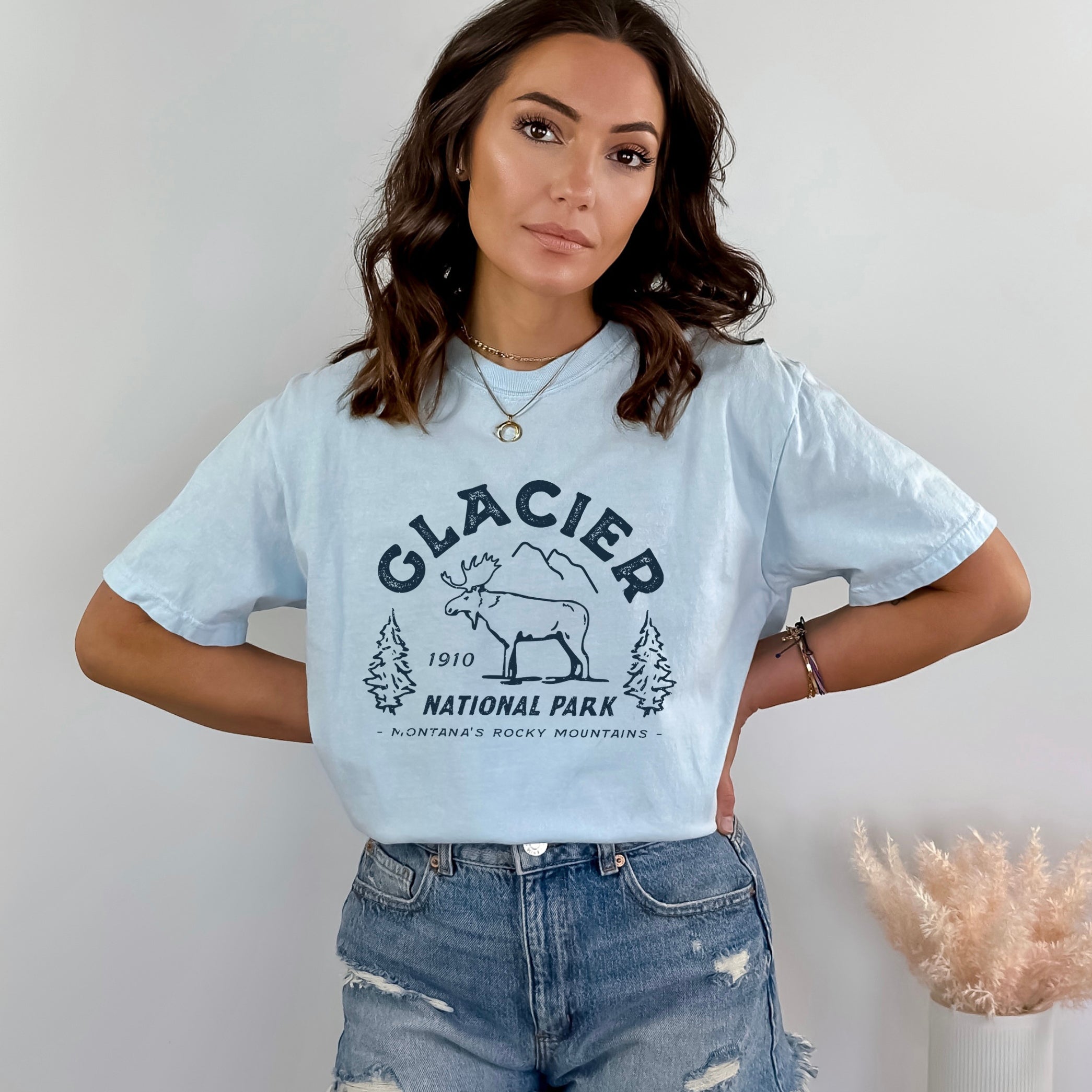 Vintage Glacier National Park | Garment Dyed Tee