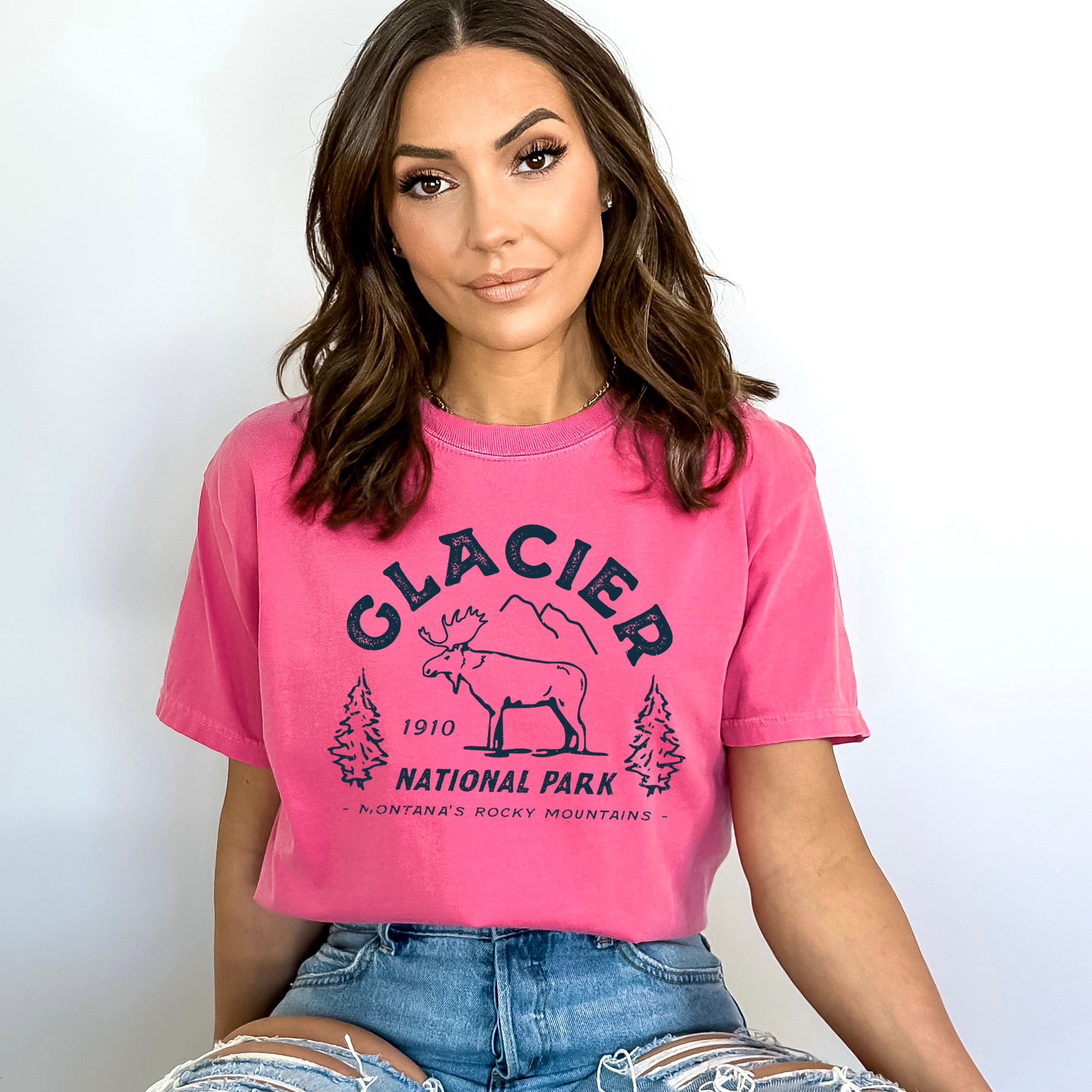 Vintage Glacier National Park | Garment Dyed Tee