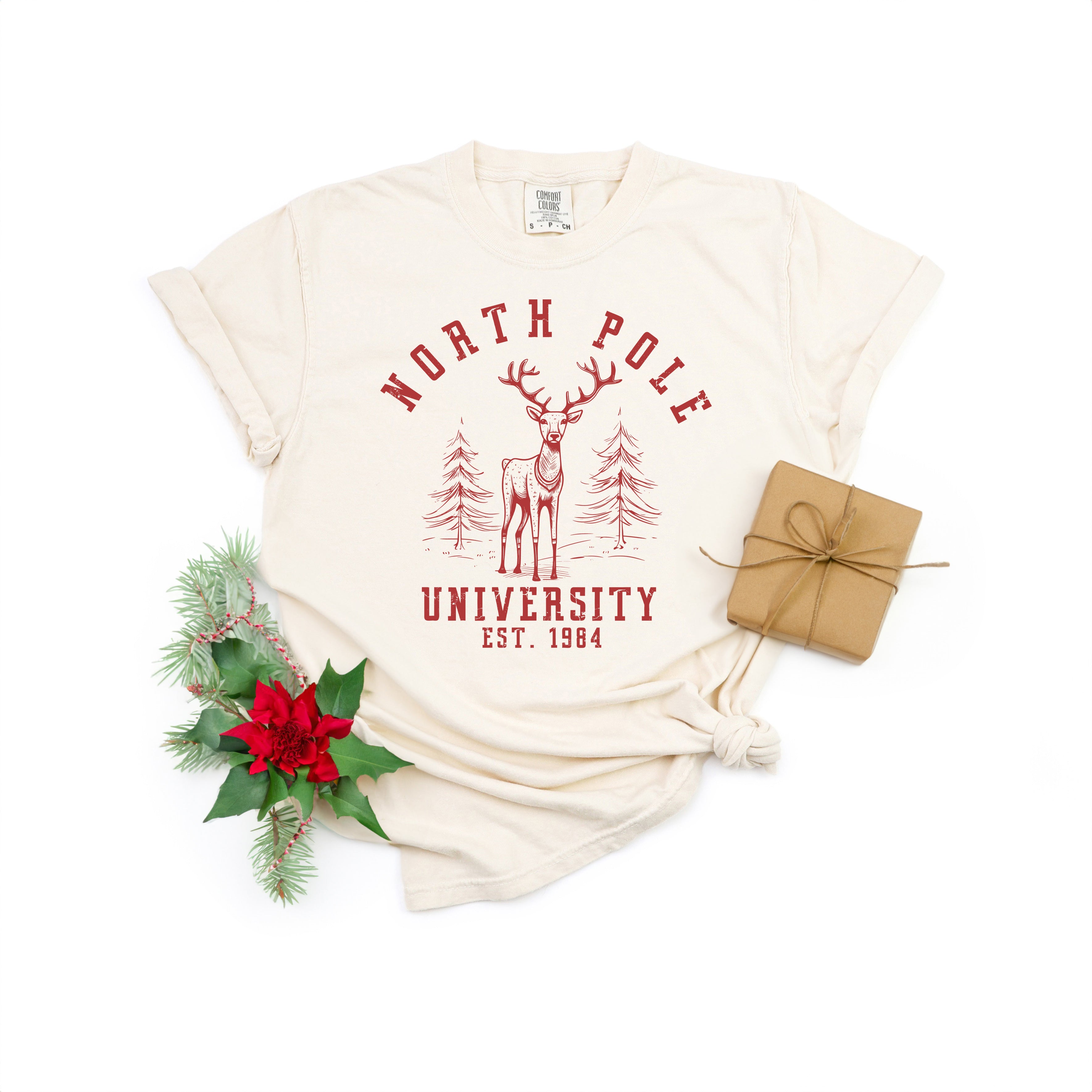 North Pole University Deer | Garment Dyed Tee