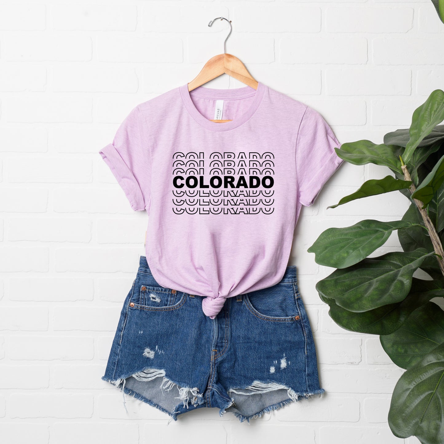 Colorado | Short Sleeve Graphic Tee