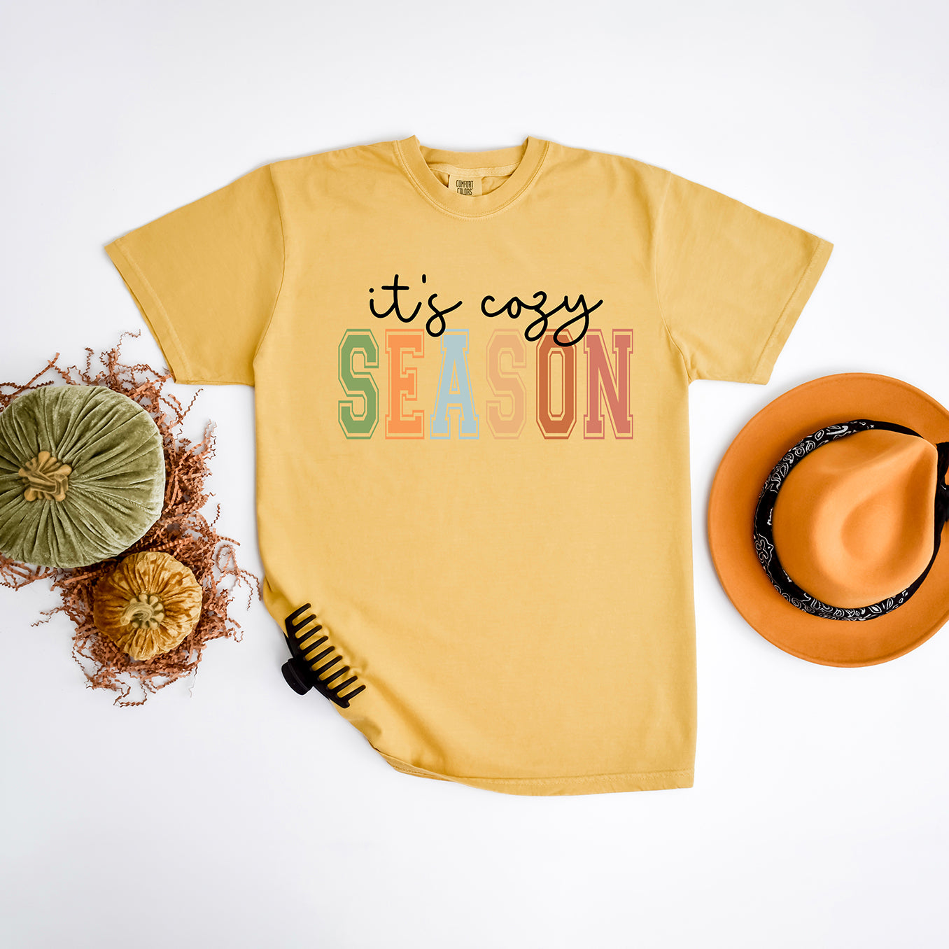 It's Cozy Season | Garment Dyed Tee