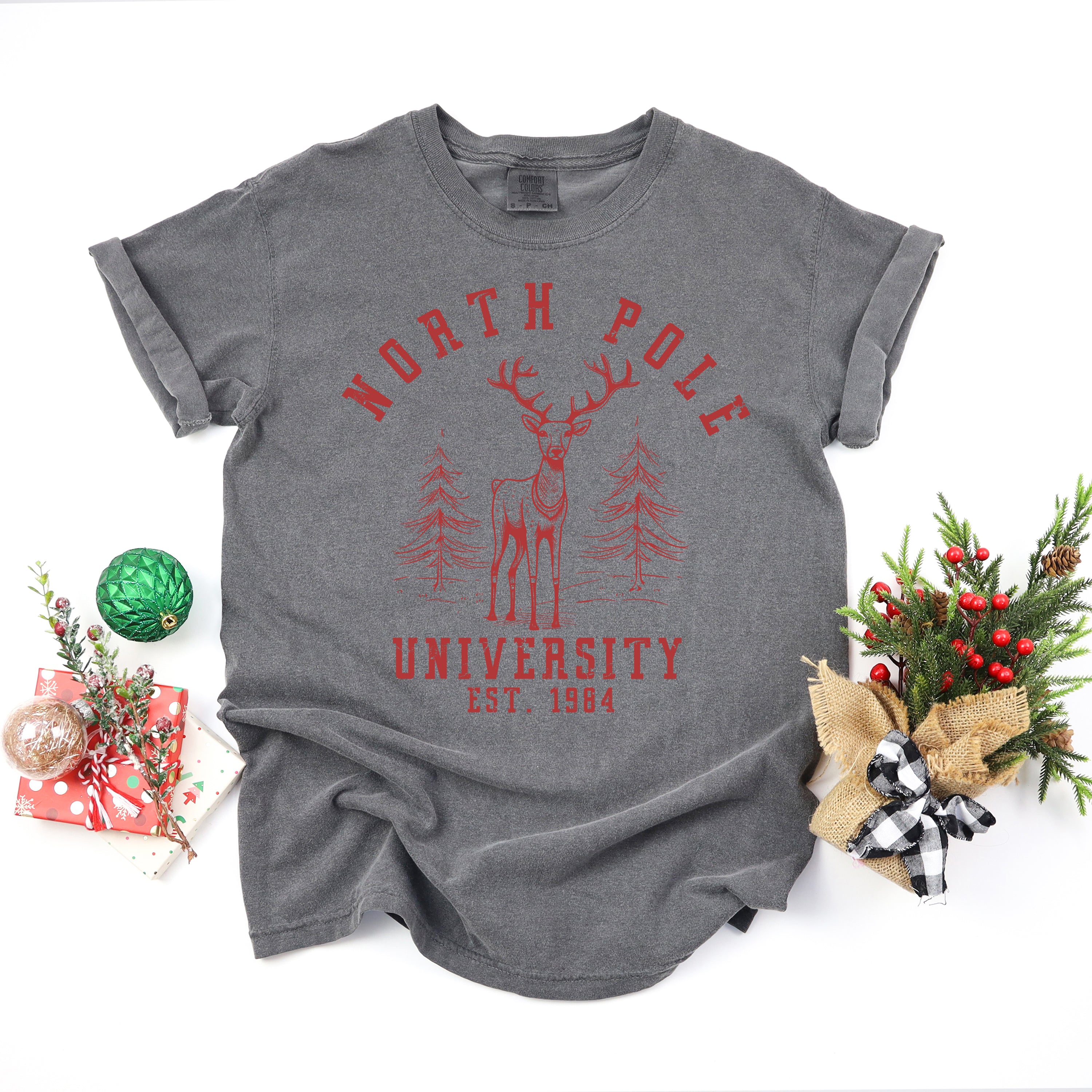 North Pole University Deer | Garment Dyed Tee