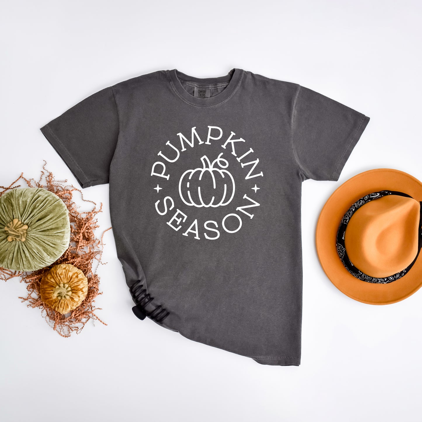 Pumpkin Season Circle | Garment Dyed Tee