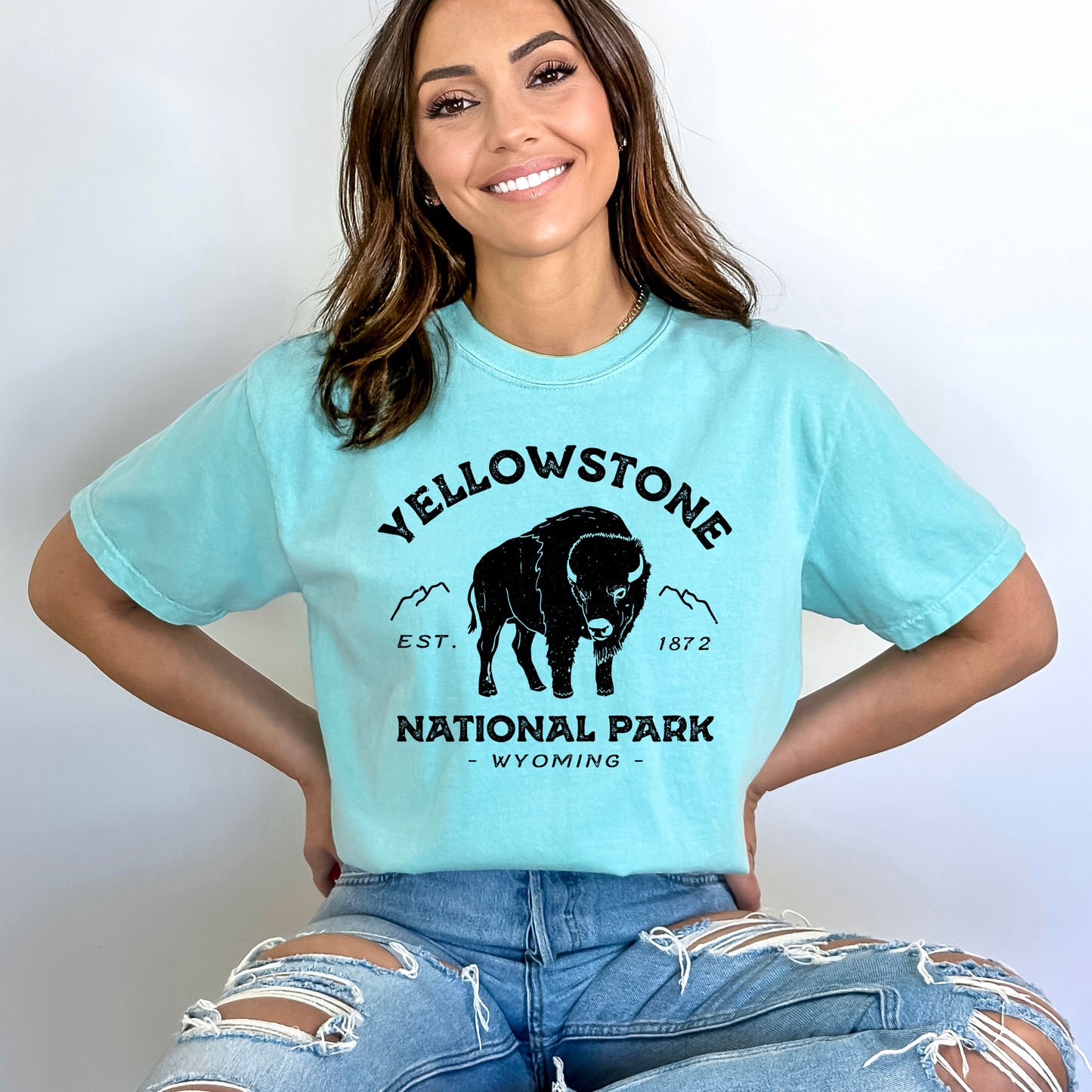 Vintage Yellowstone National Park | Garment Dyed Tee