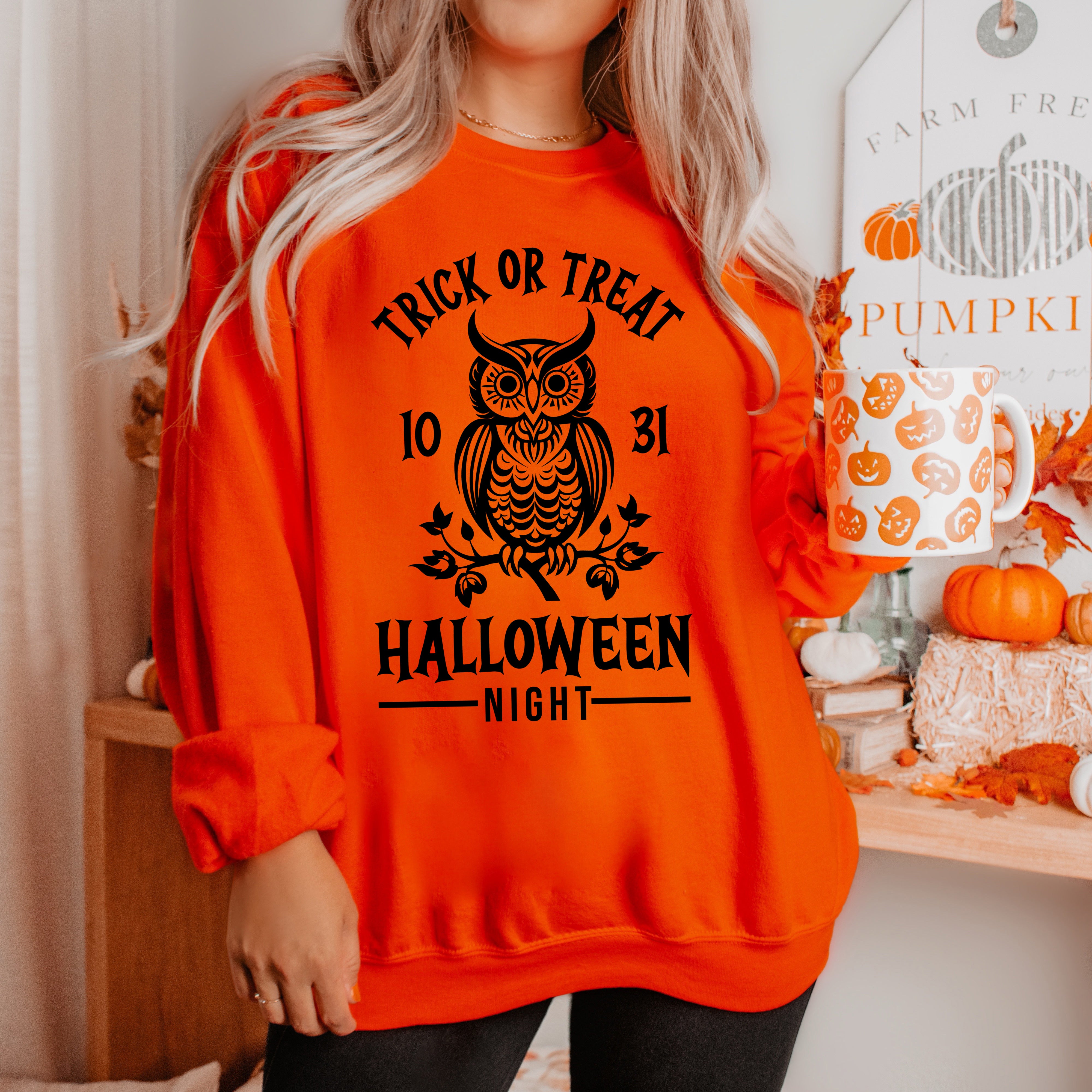 Trick or Treat Owl | Sweatshirt