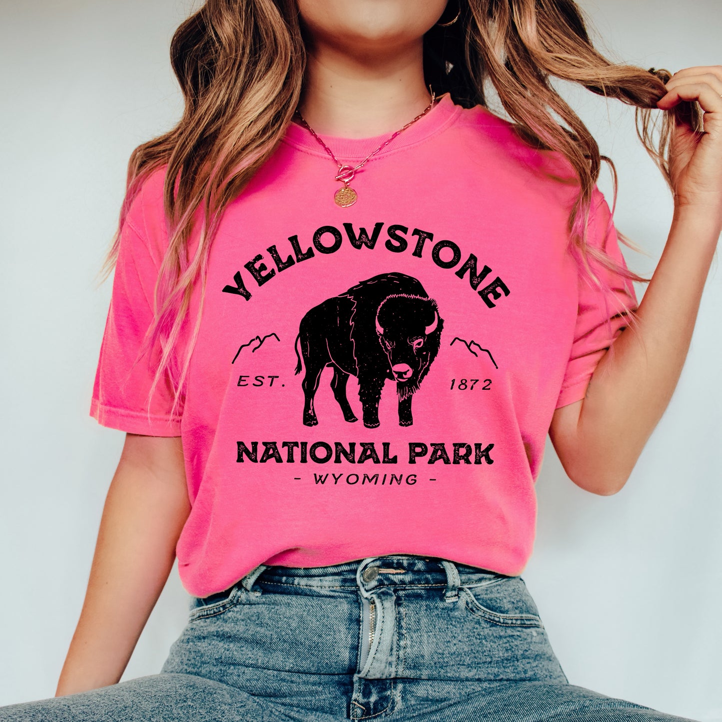 Vintage Yellowstone National Park | Garment Dyed Tee
