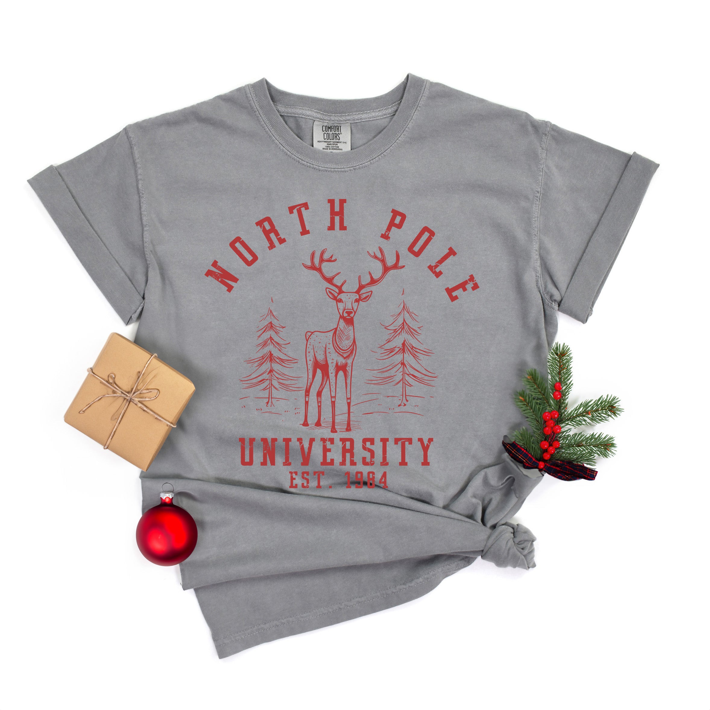 North Pole University Deer | Garment Dyed Tee