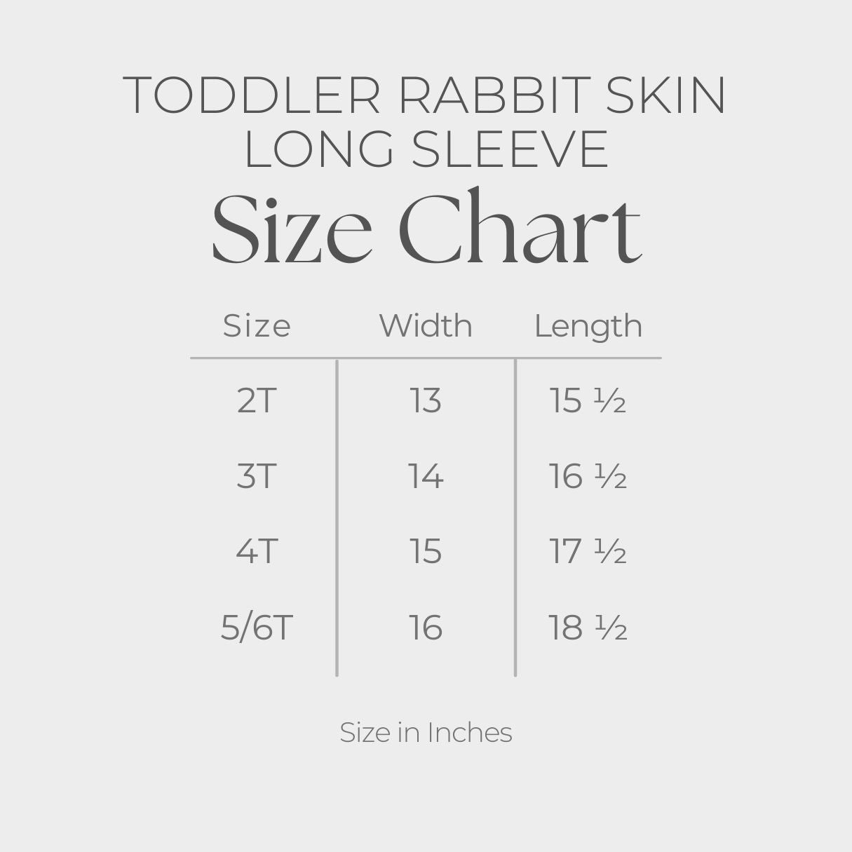 Toddler Long Sleeve Graphic Tee - size guide