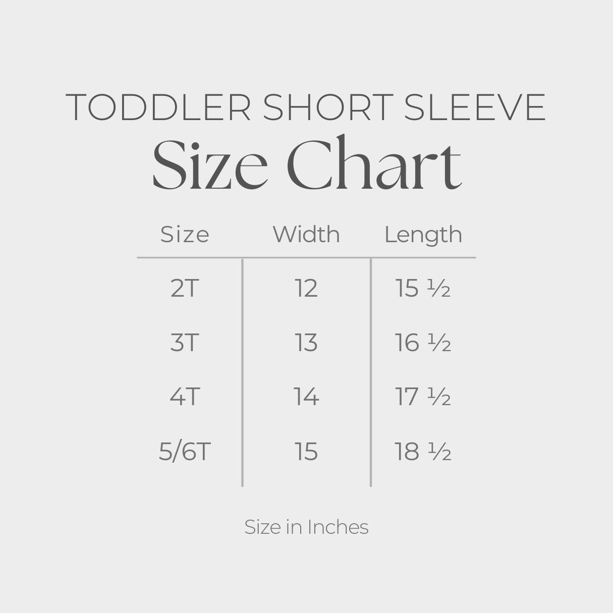 Toddler Short Sleeve Graphic T-Shirt - size guide