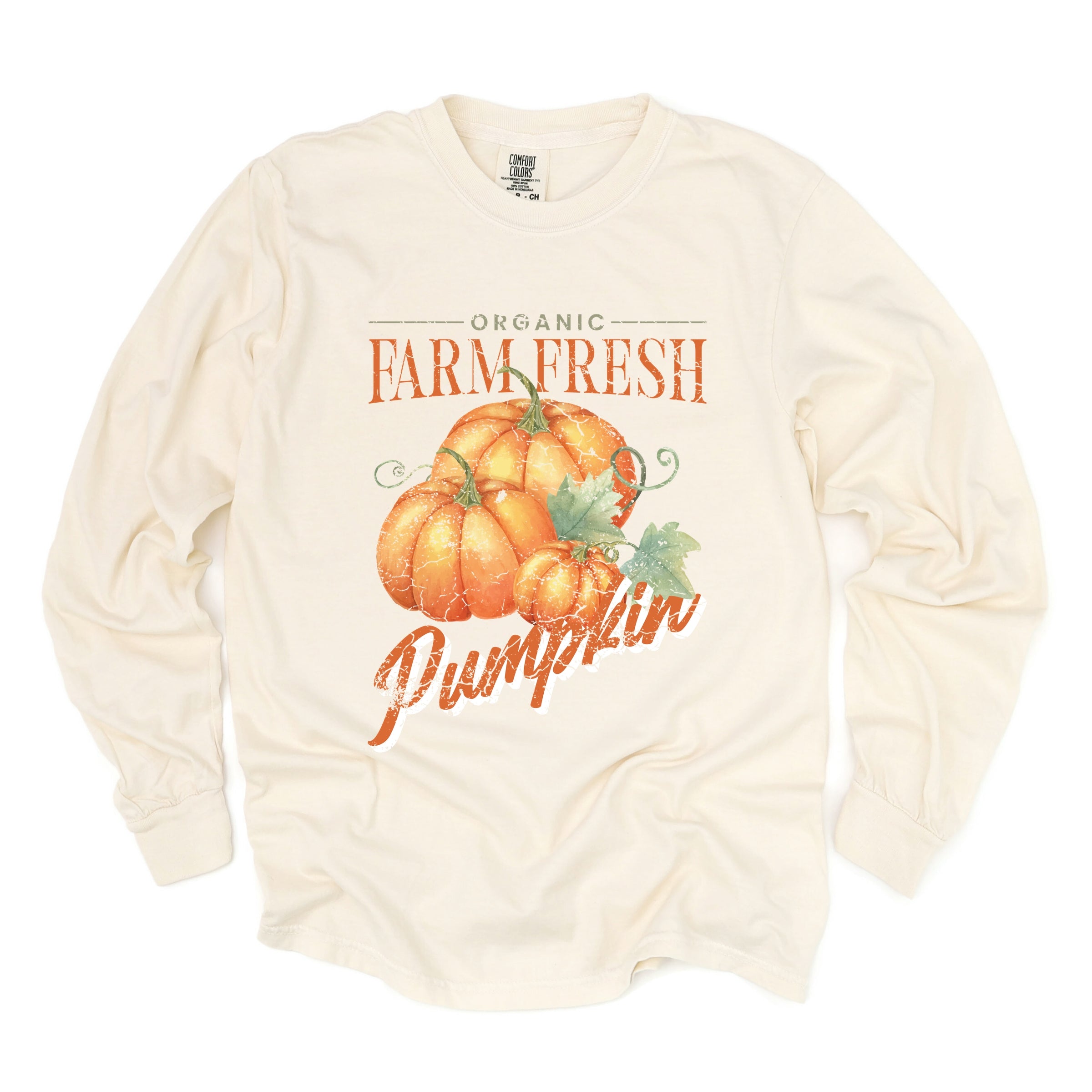Farm Fresh Pumpkin Watercolor - Women's Garment Dyed Long Sleeve Graphic T-Shirt