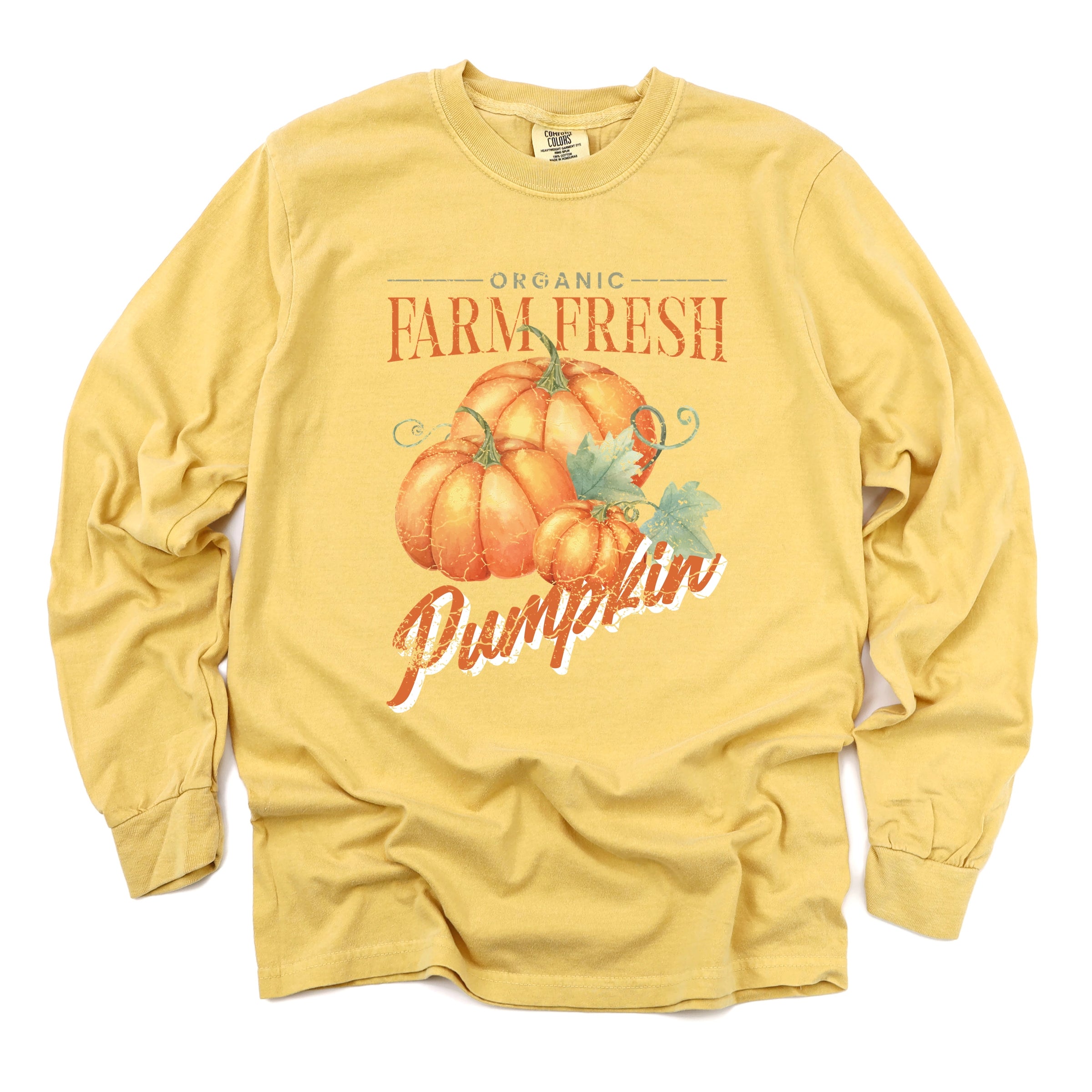 Farm Fresh Pumpkin Watercolor - Women's Garment Dyed Long Sleeve Graphic T-Shirt