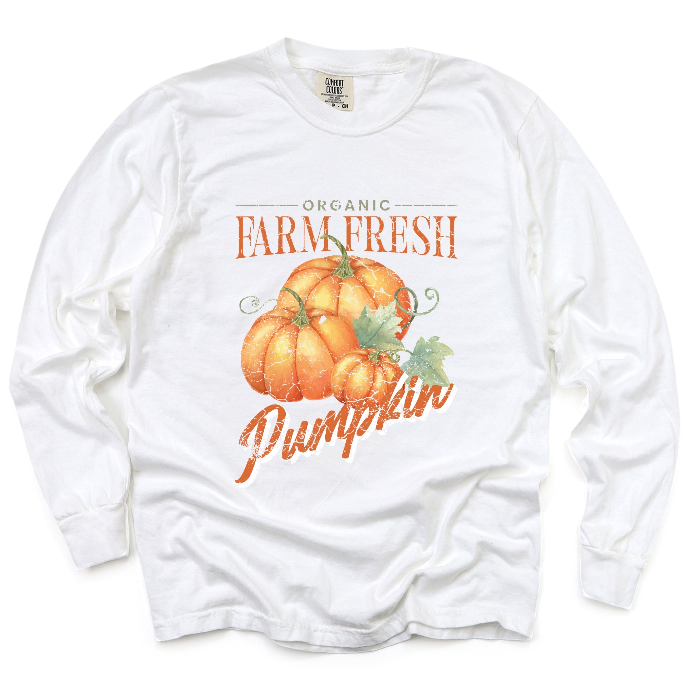 Farm Fresh Pumpkin Watercolor - Women's Garment Dyed Long Sleeve Graphic T-Shirt