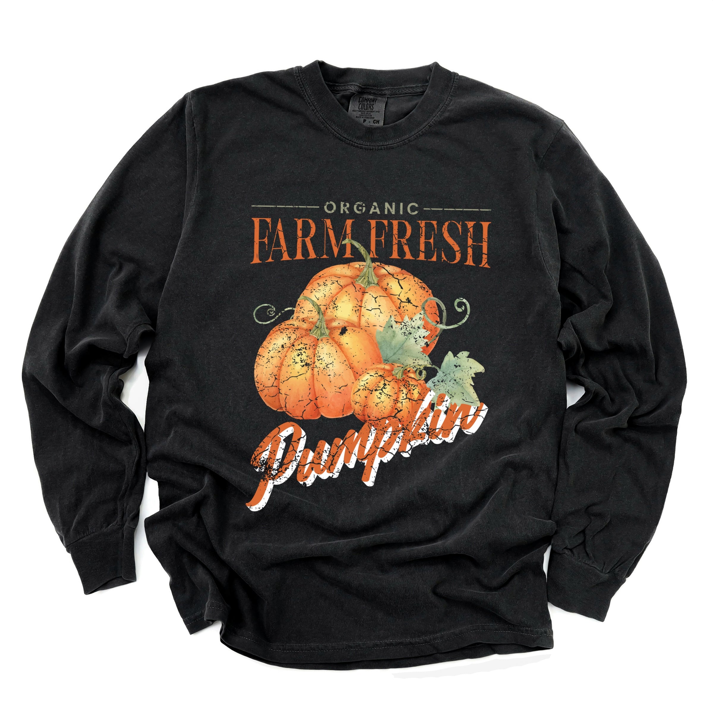 Farm Fresh Pumpkin Watercolor - Women's Garment Dyed Long Sleeve Graphic T-Shirt