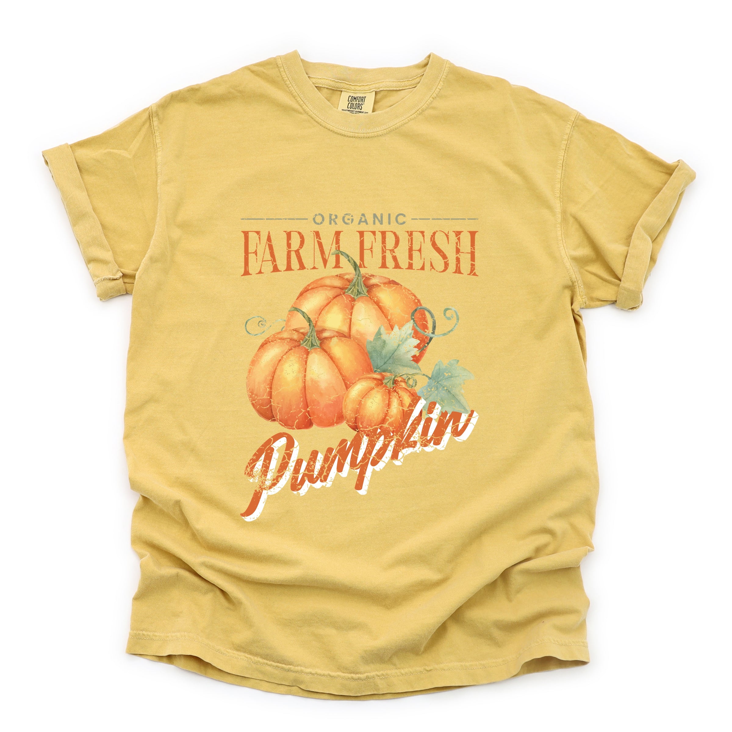 Farm Fresh Pumpkin Watercolor - Women's Garment Dyed Graphic T-Shirt