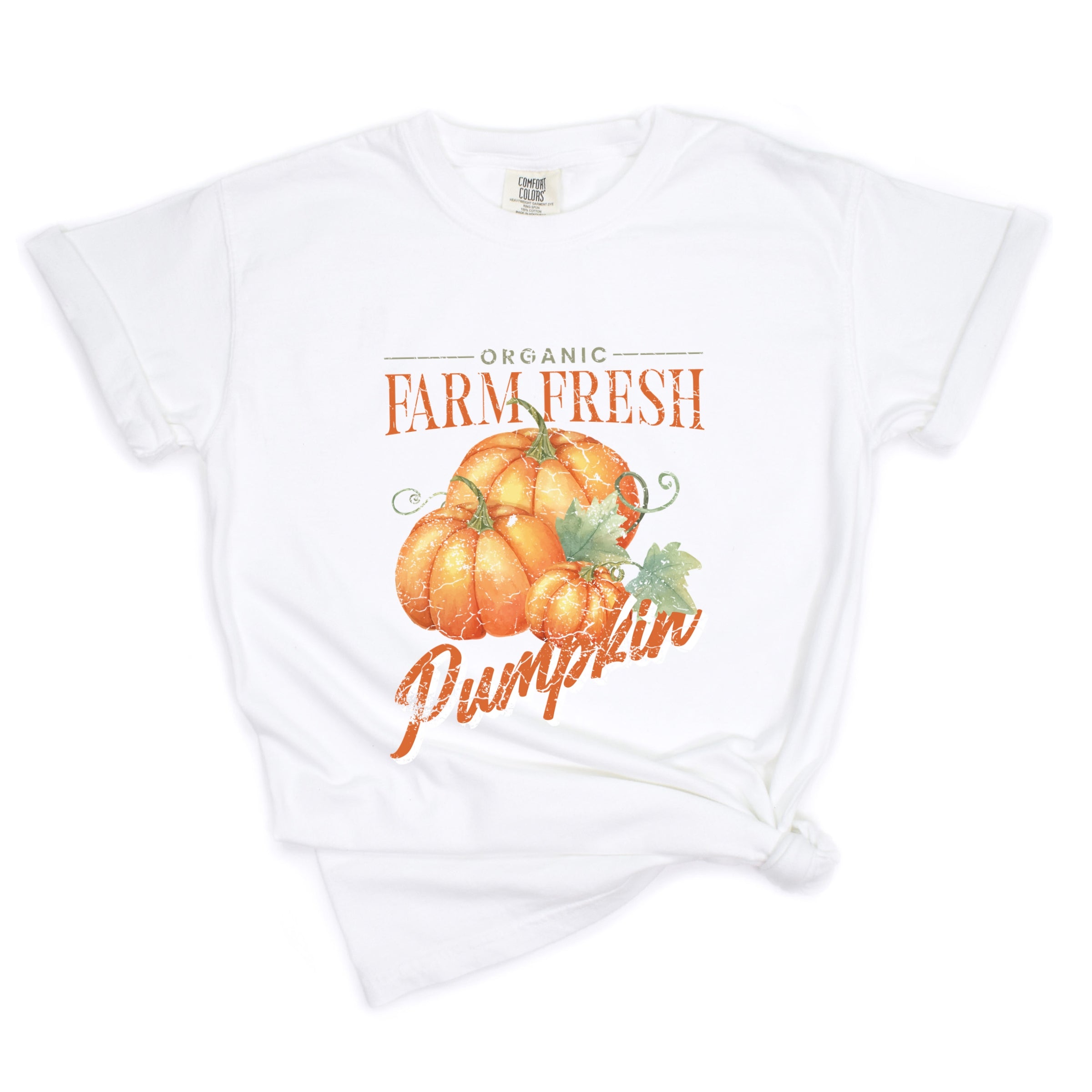 Farm Fresh Pumpkin Watercolor - Women's Garment Dyed Graphic T-Shirt