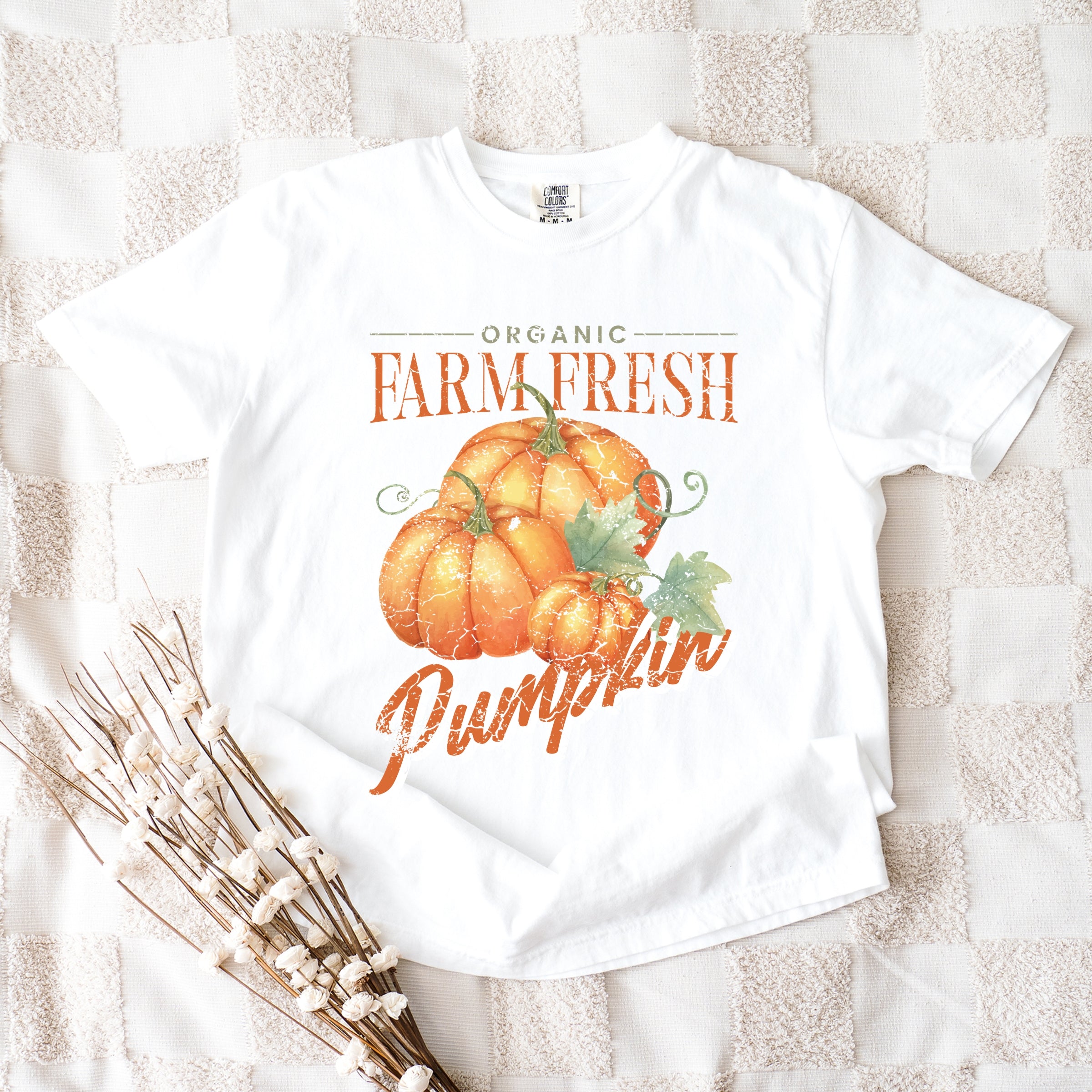 Farm Fresh Pumpkin Watercolor - Women's Garment Dyed Graphic T-Shirt