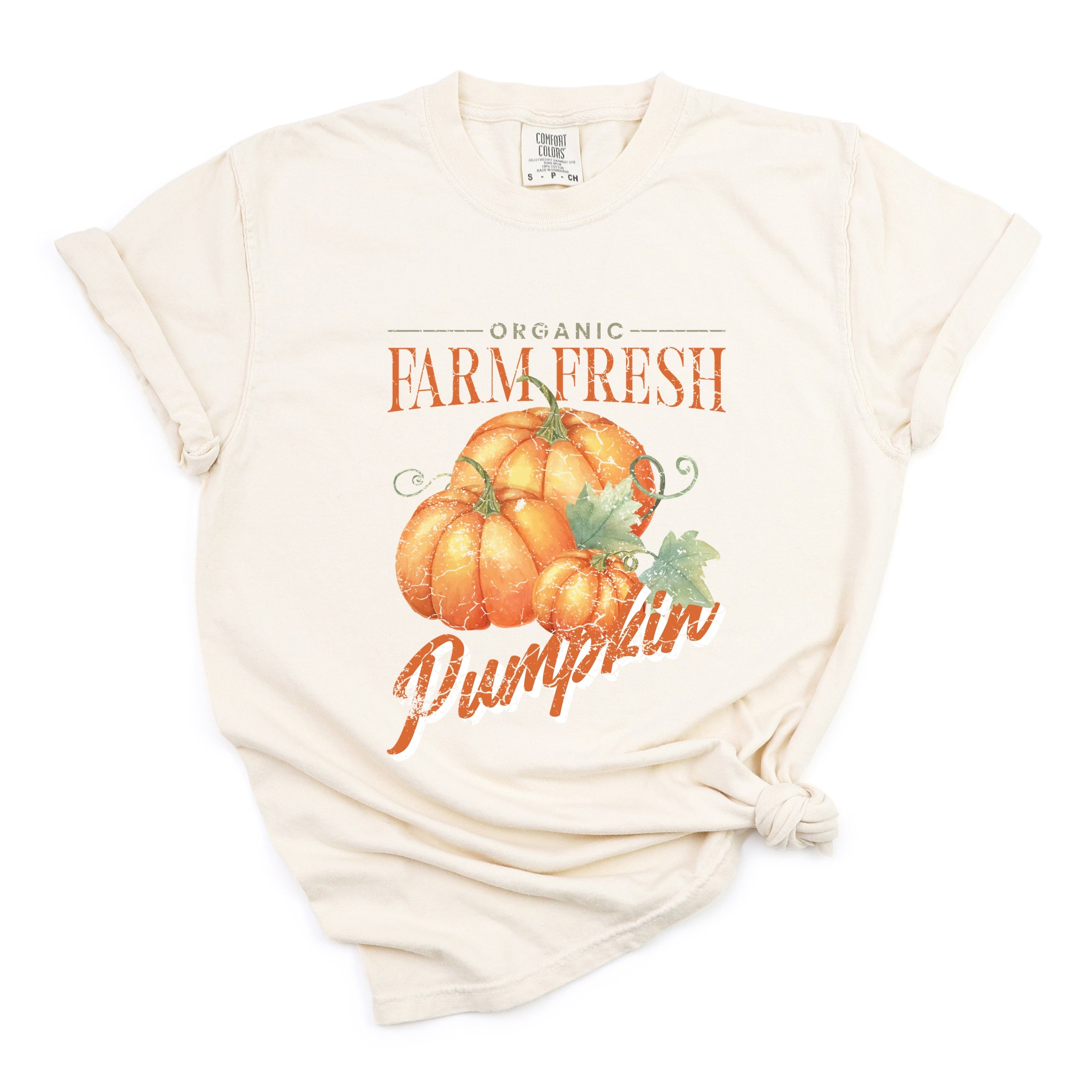 Farm Fresh Pumpkin Watercolor - Women's Garment Dyed Graphic T-Shirt