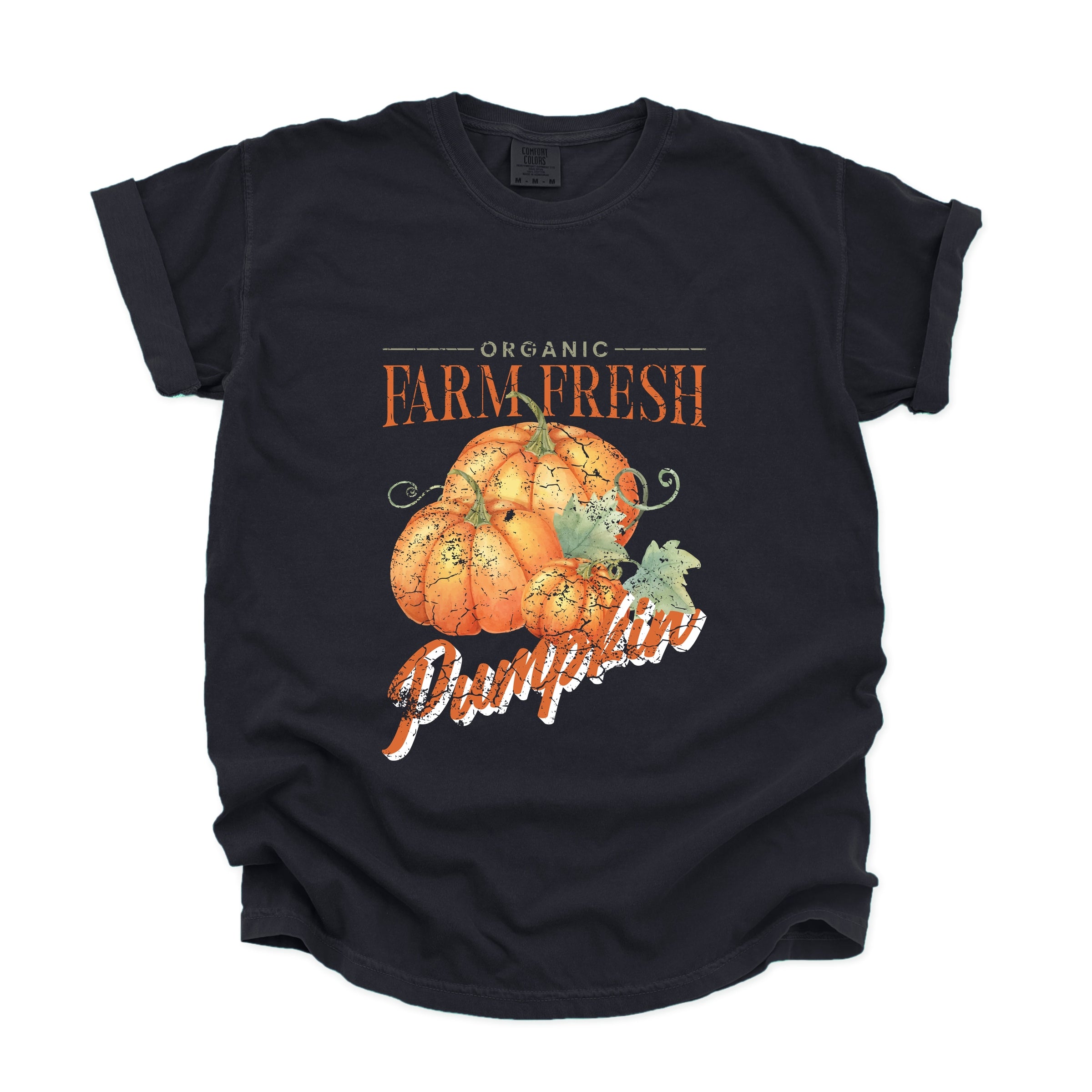 Farm Fresh Pumpkin Watercolor - Women's Garment Dyed Graphic T-Shirt