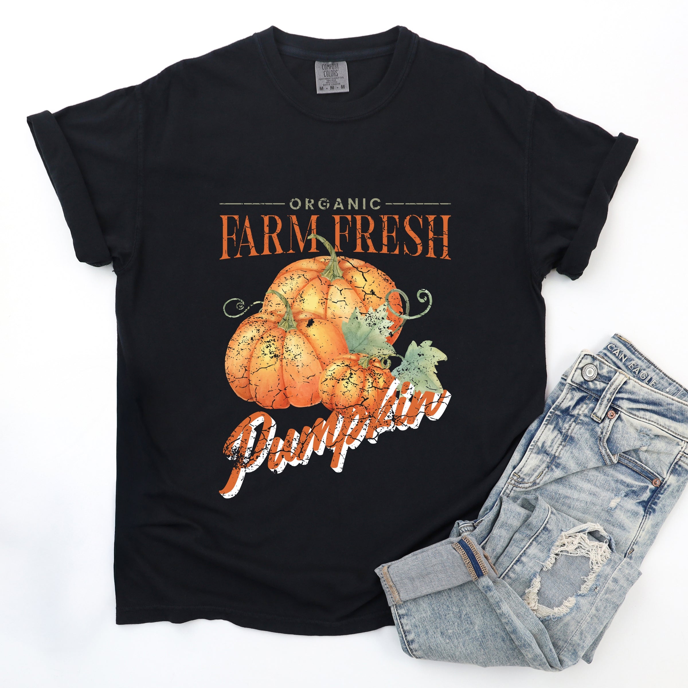 Farm Fresh Pumpkin Watercolor - Women's Garment Dyed Graphic T-Shirt
