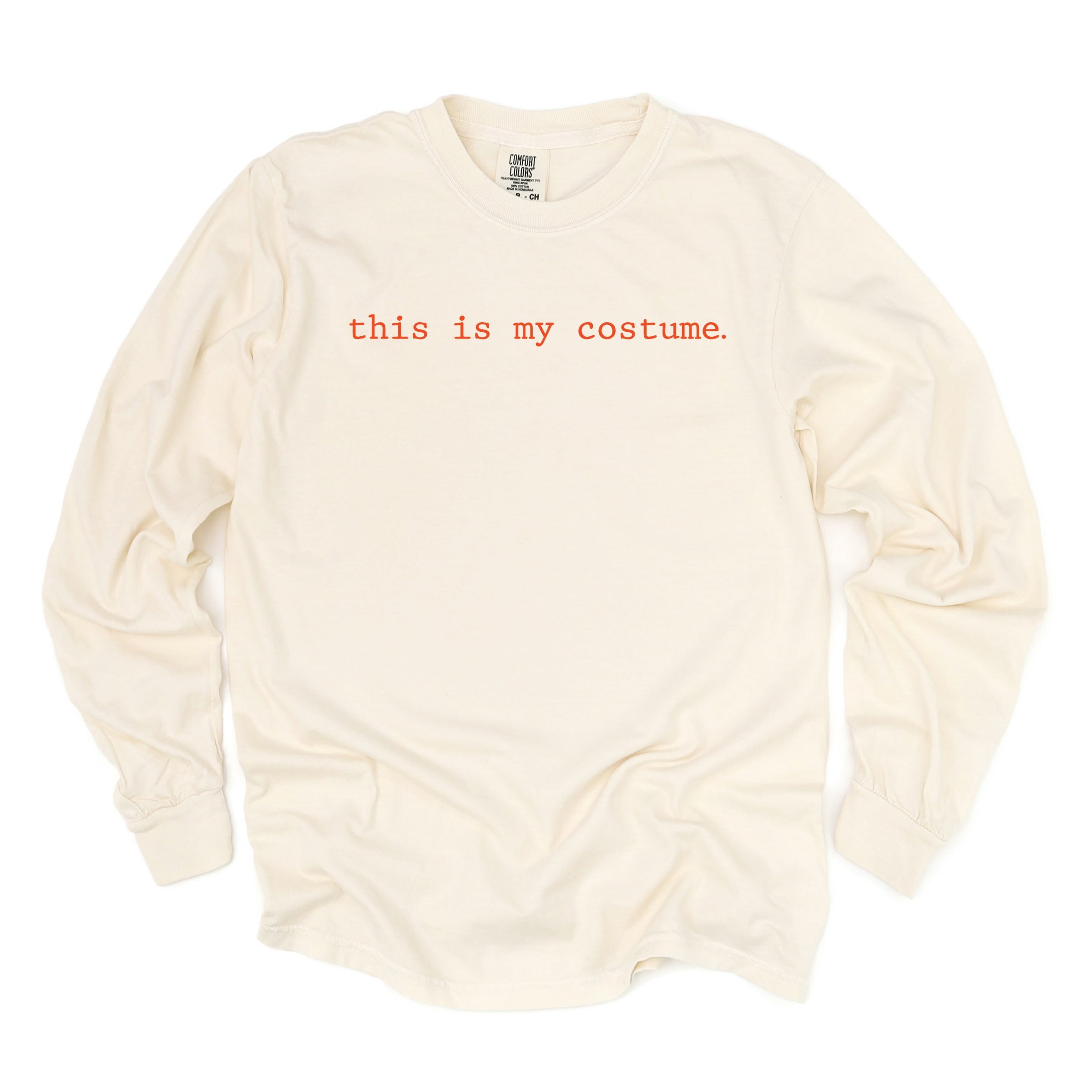 This Is My Costume Typewriter - Women's Garment Dyed Long Sleeve Graphic T-Shirt