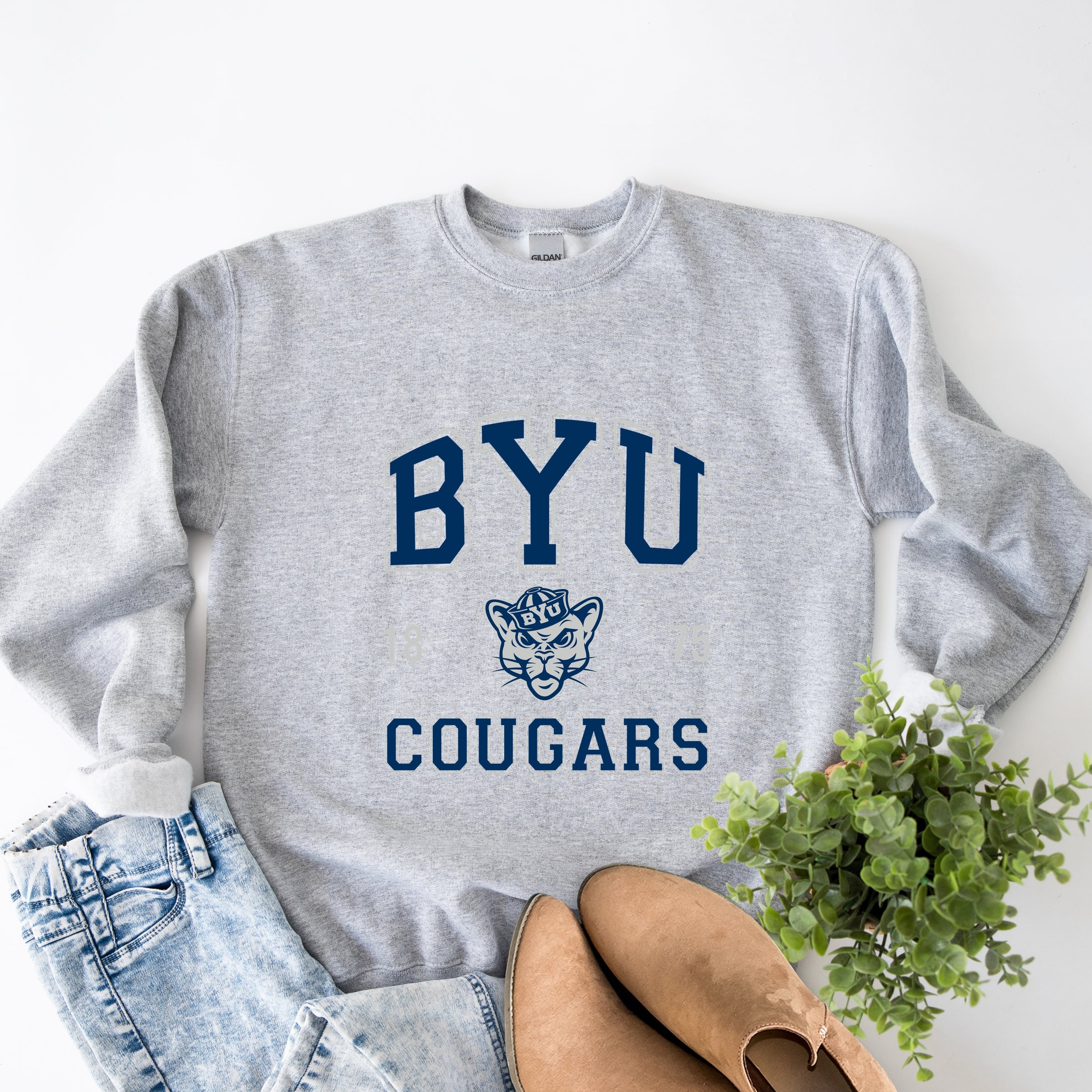 22701M_F-SWT Graphite