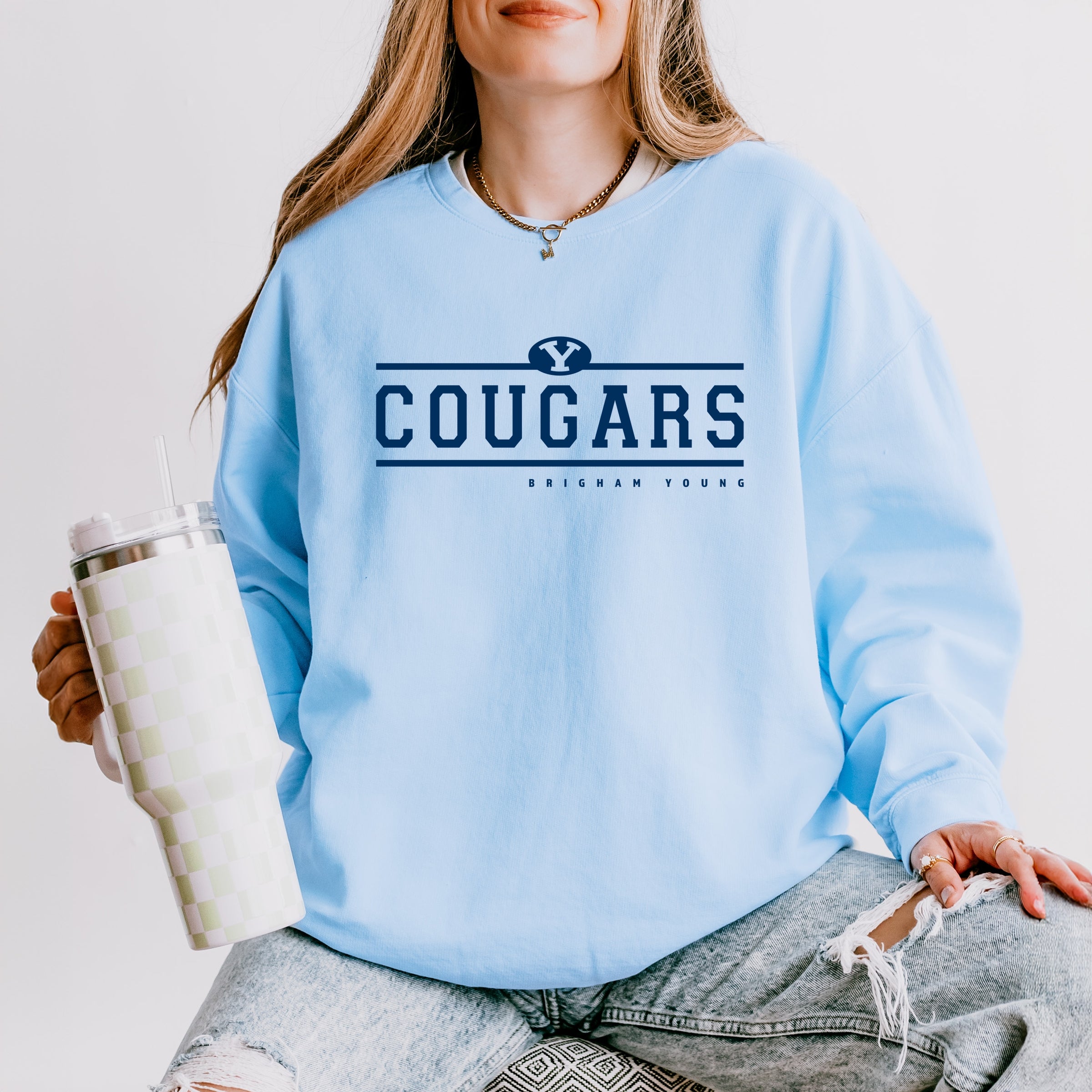 22704BLU_F-LGDSWT Hydrangea