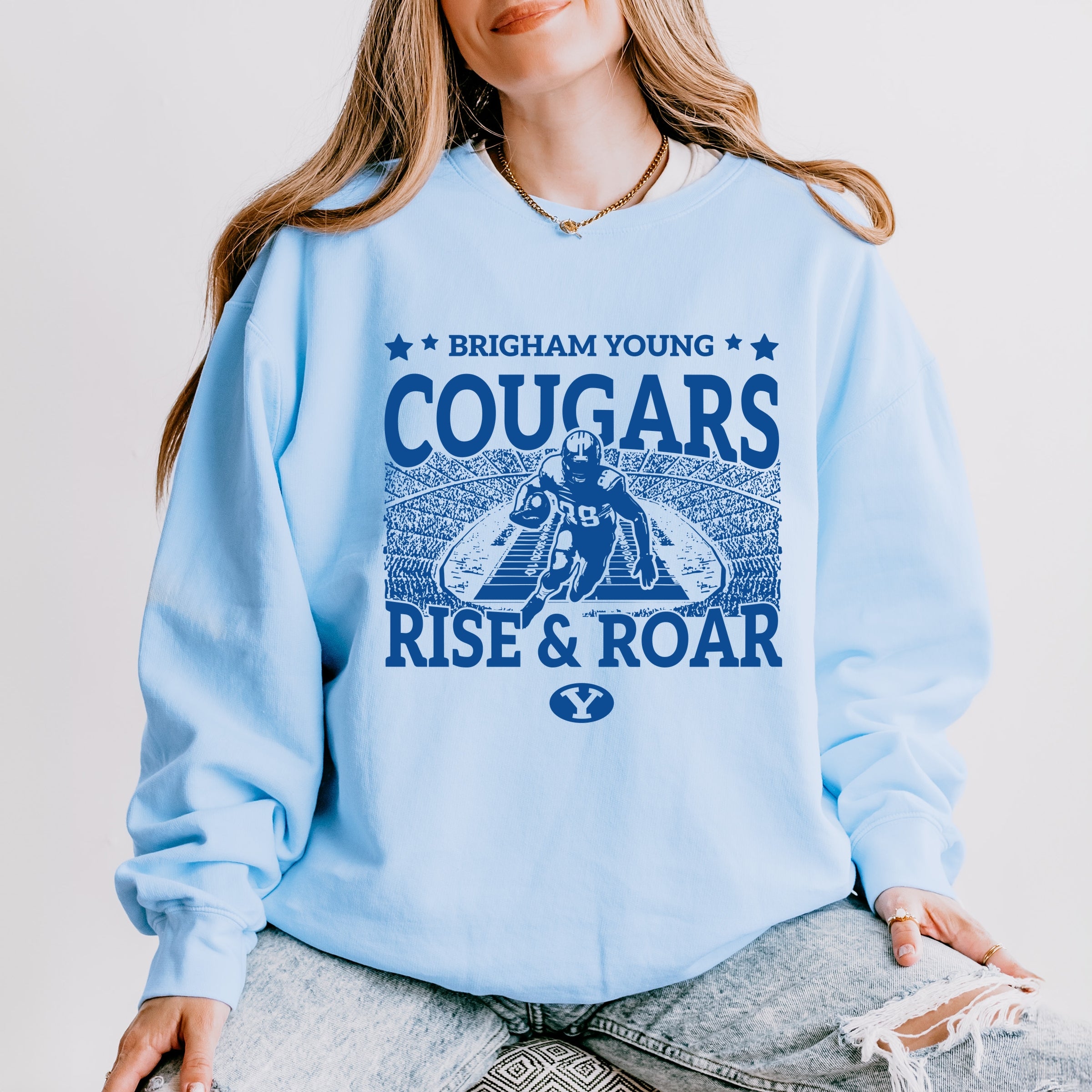 22727BLU_F-LGDSWT Hydrangea