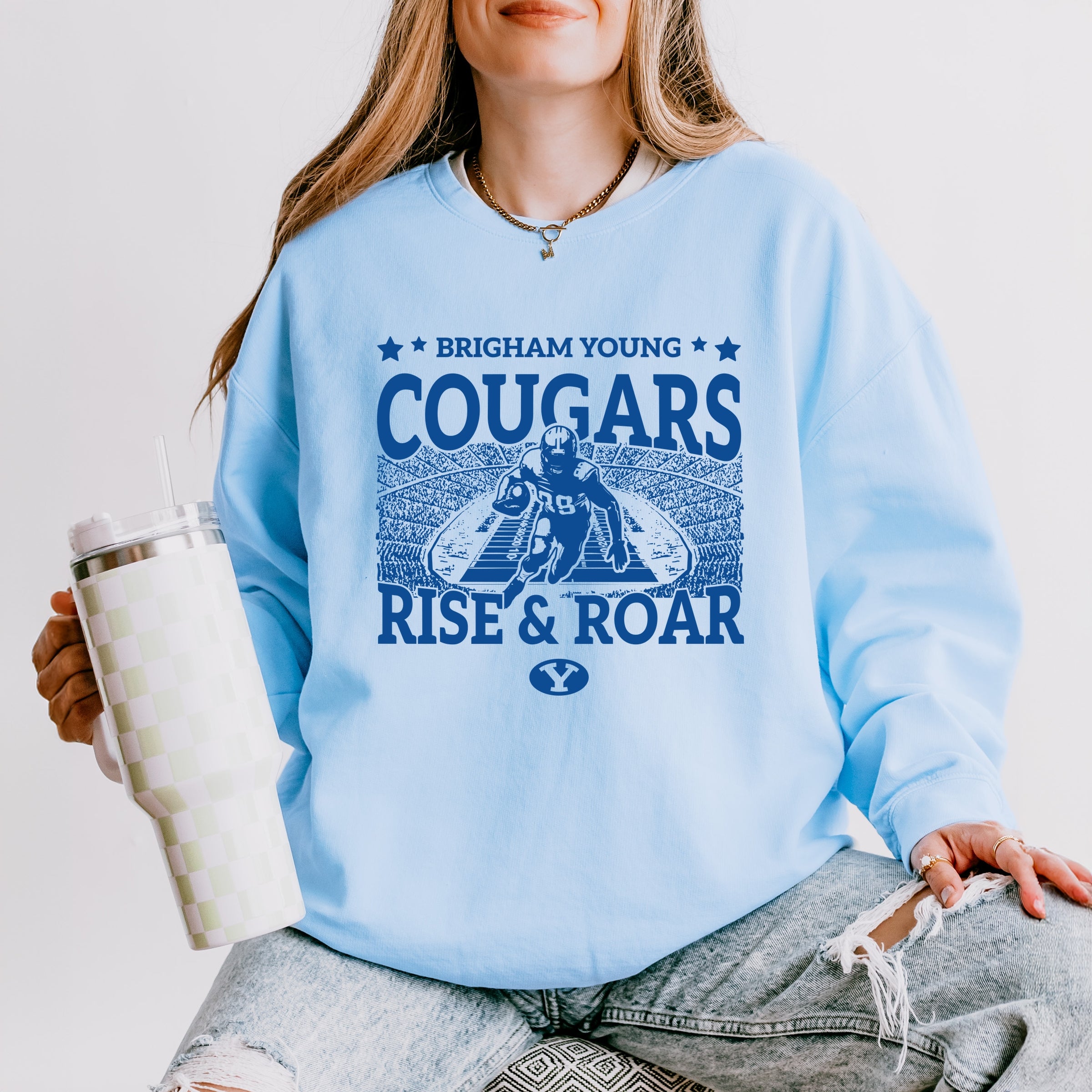 22727BLU_F-LGDSWT Hydrangea