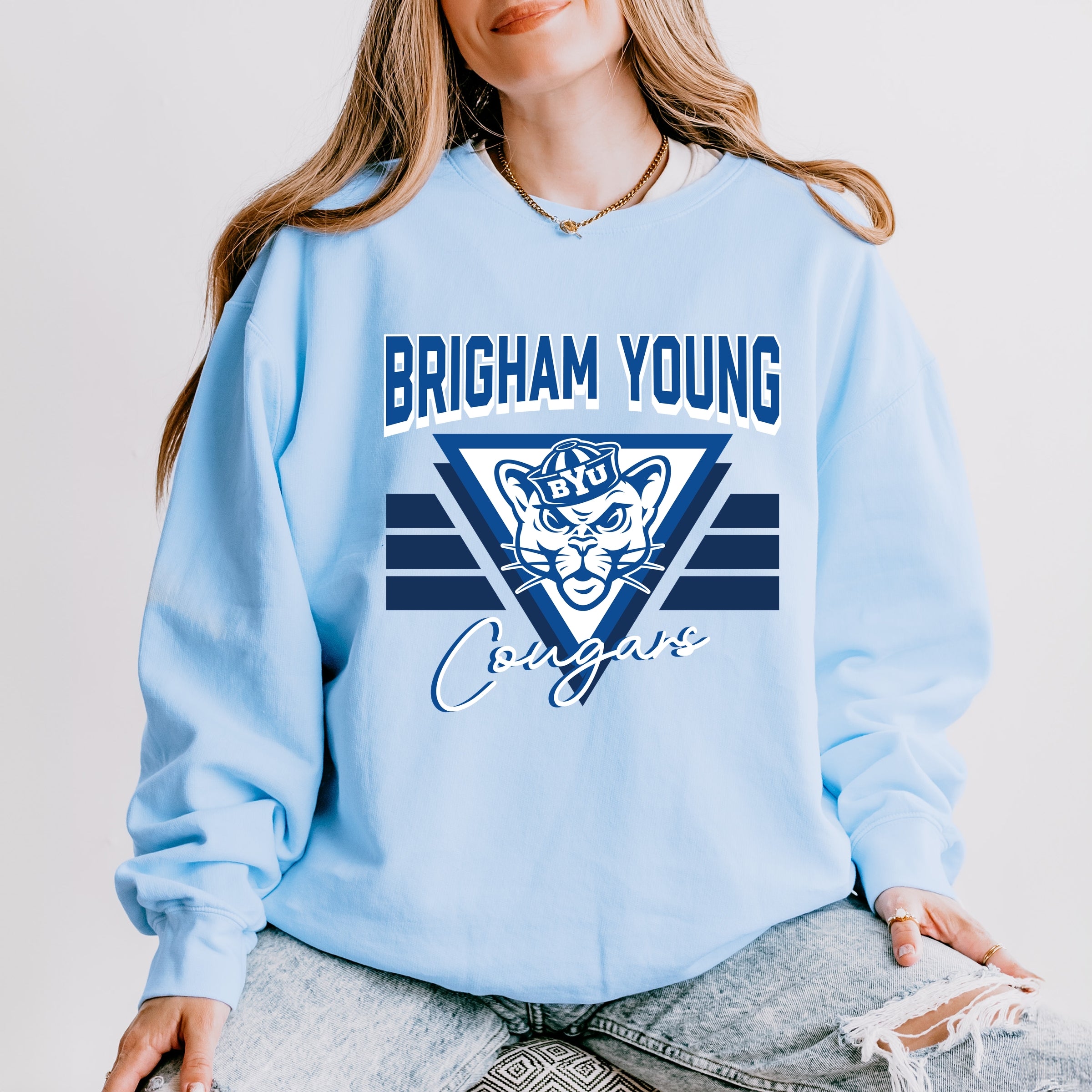 22729M_F-LGDSWT Hydrangea